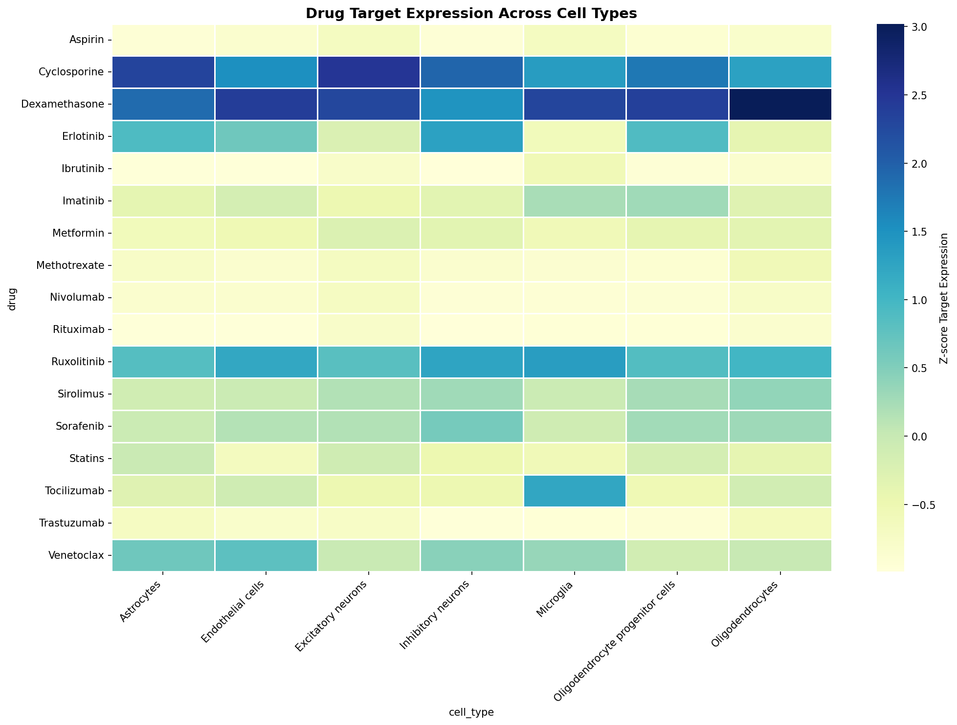Drug Target Expression Heatmap