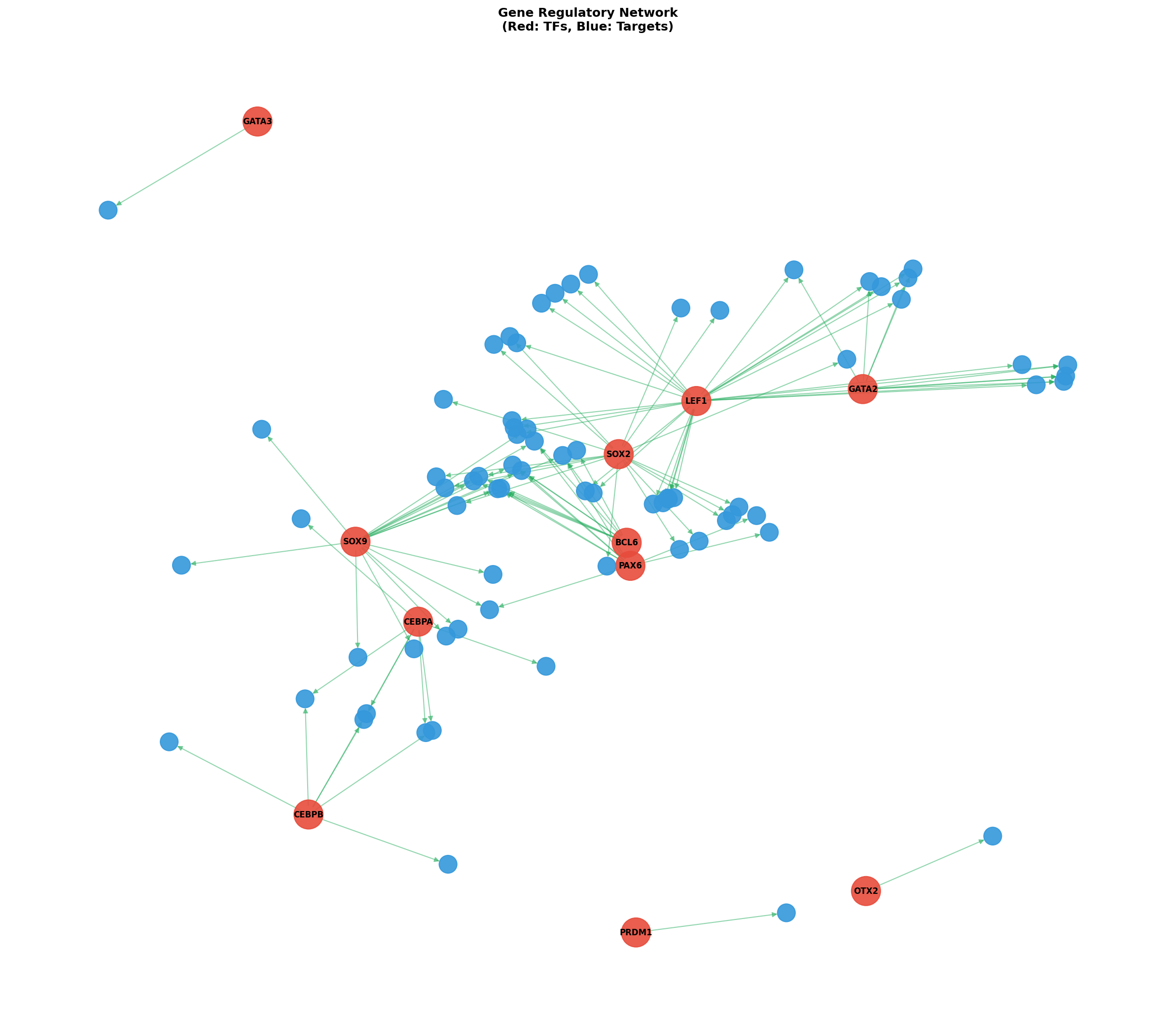 Exploratory TF-Target Association Network