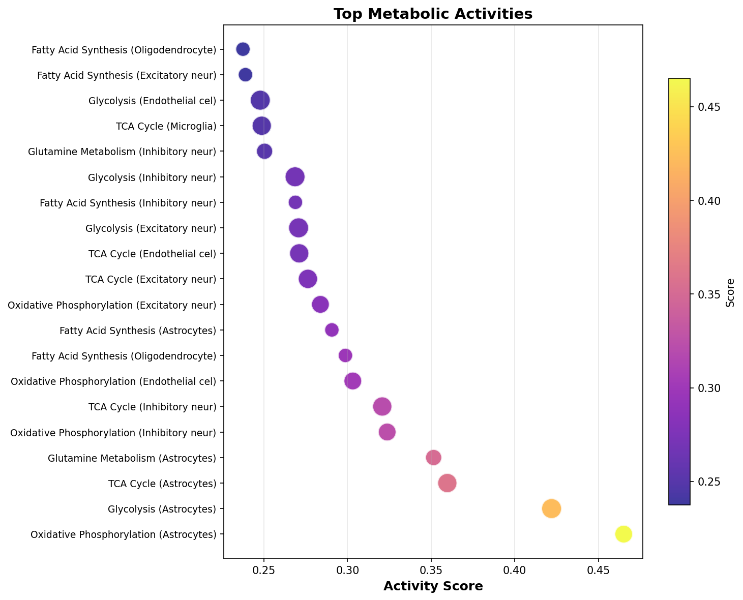 Top Metabolic Activities