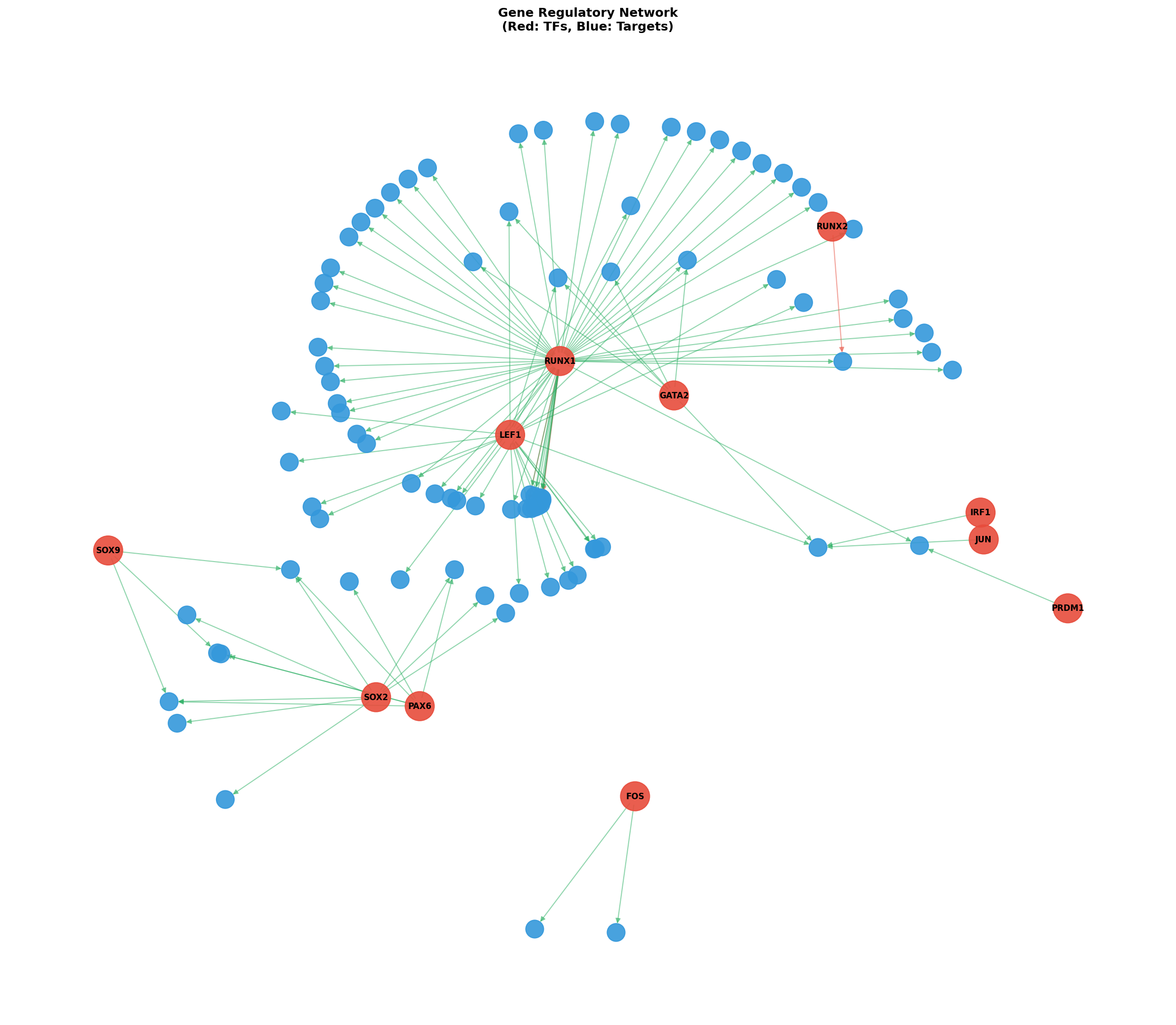 Exploratory TF-Target Association Network