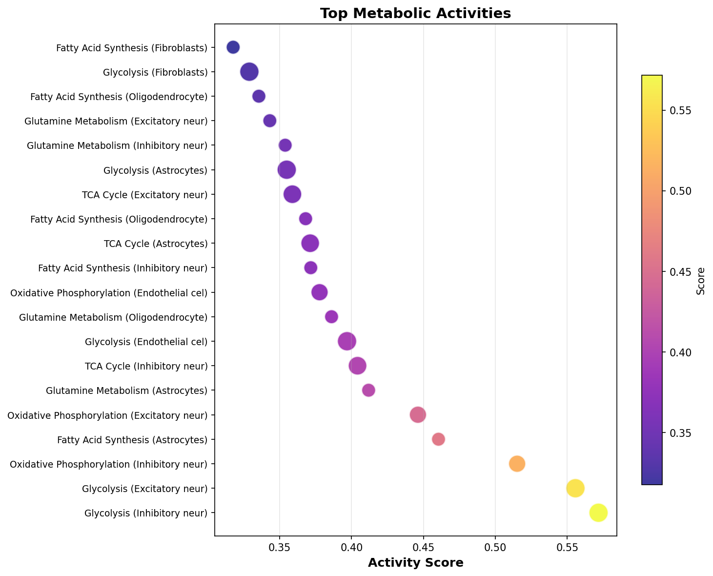 Top Metabolic Activities