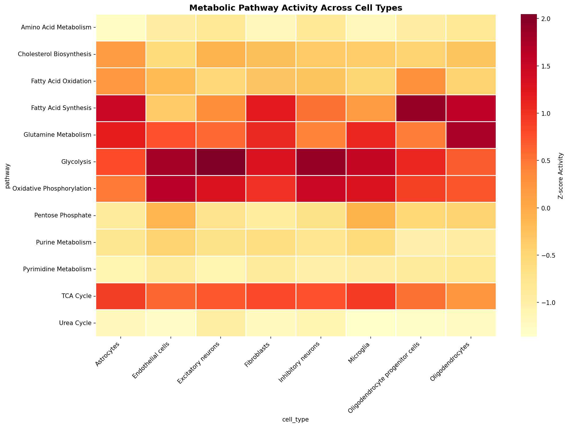 Metabolic Pathway Heatmap