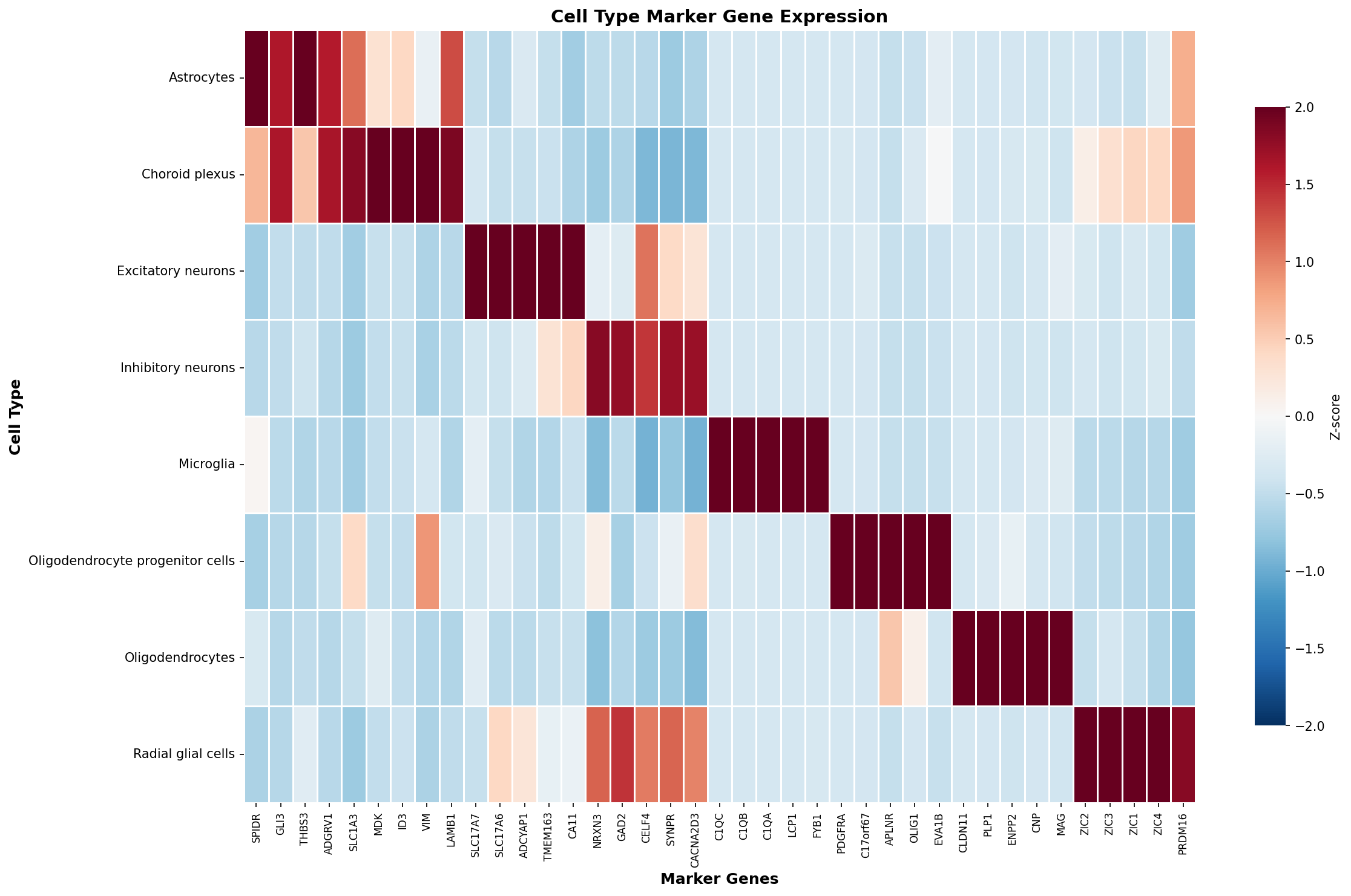 Marker Gene Heatmap