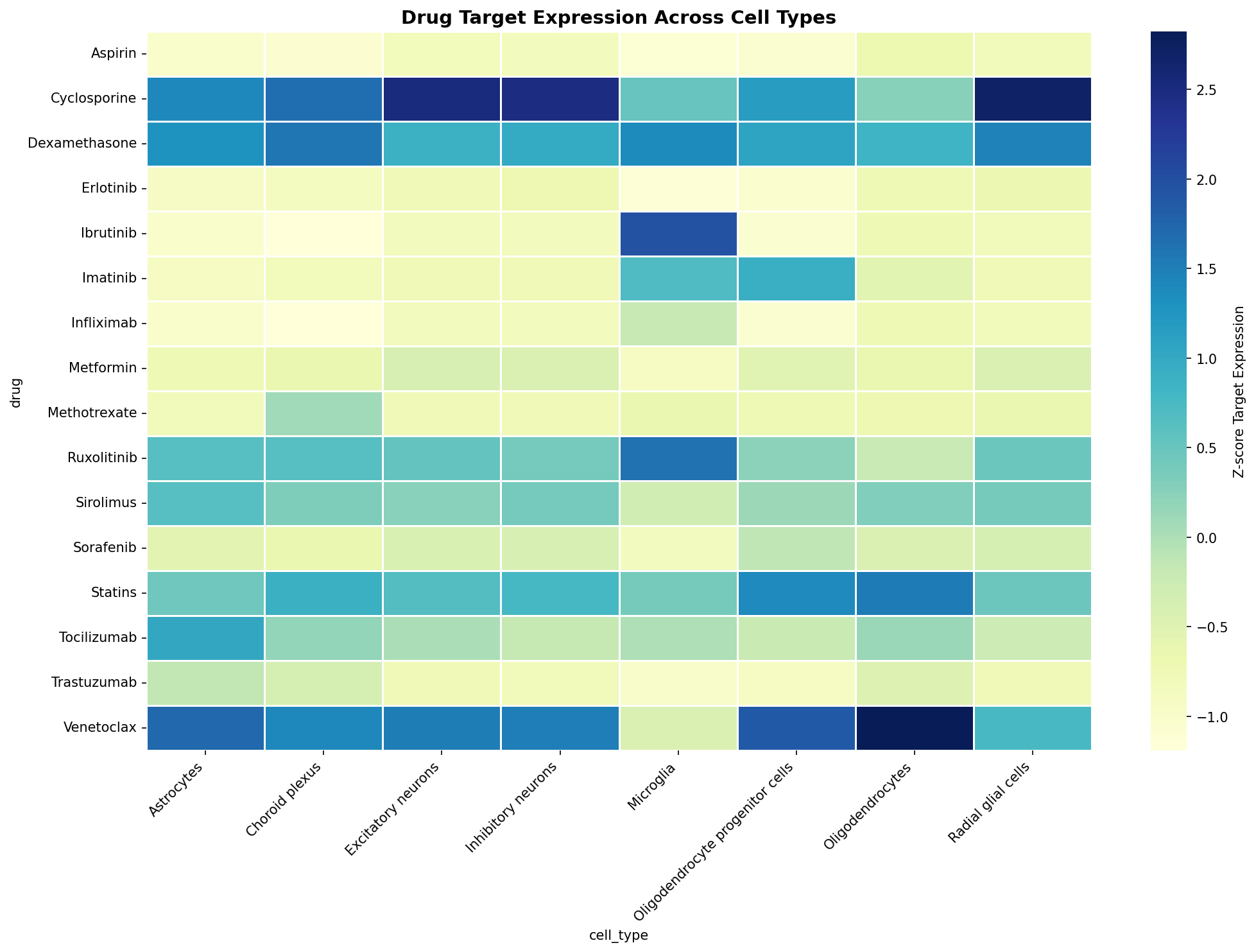 Drug Target Expression Heatmap