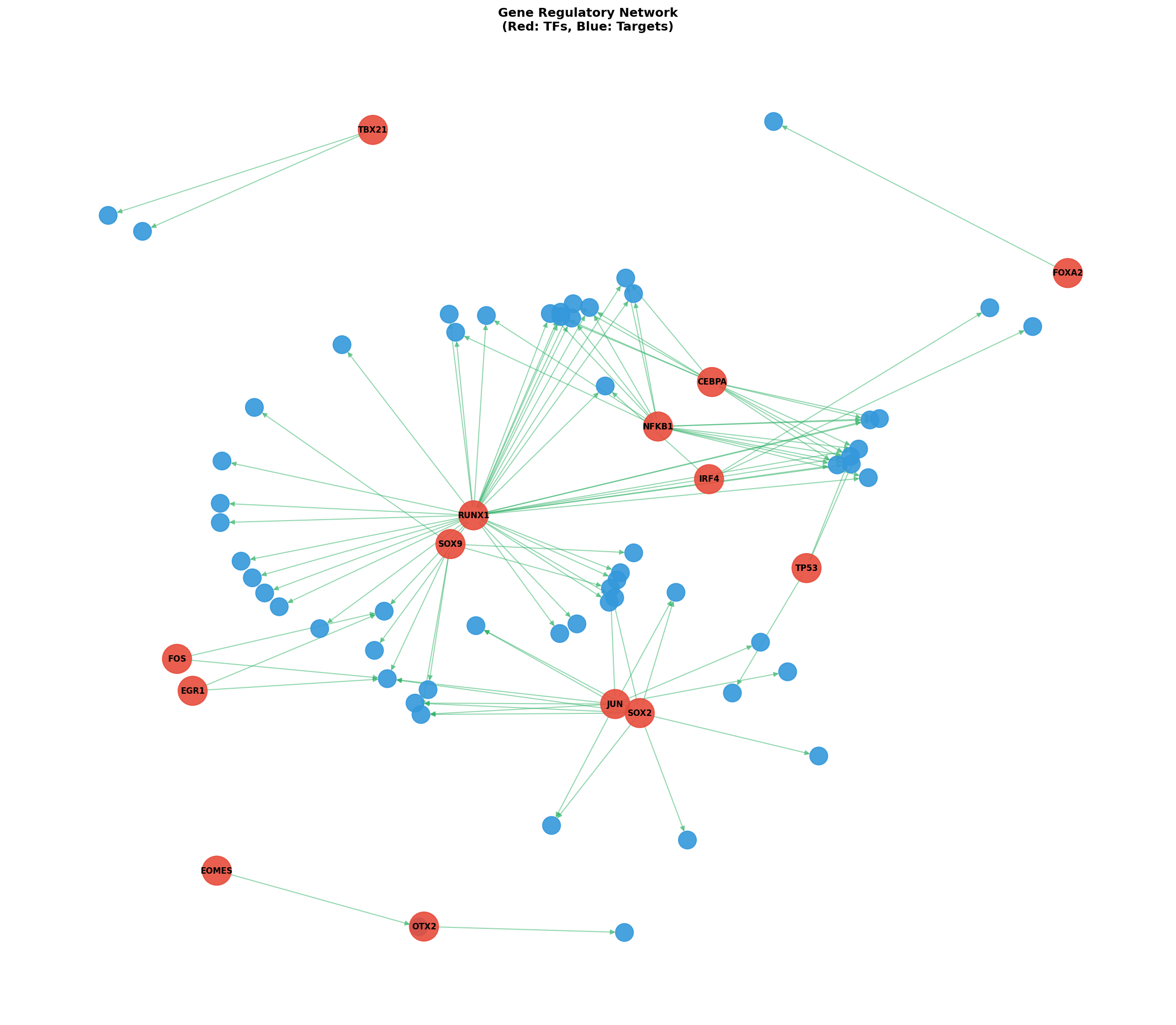 Exploratory TF-Target Association Network