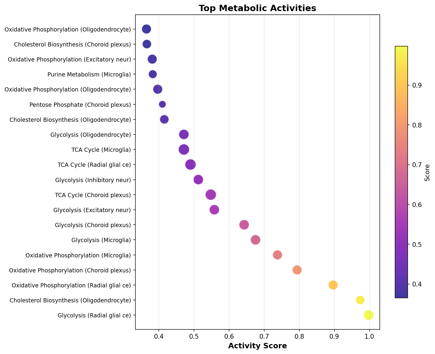 Top Metabolic Activities