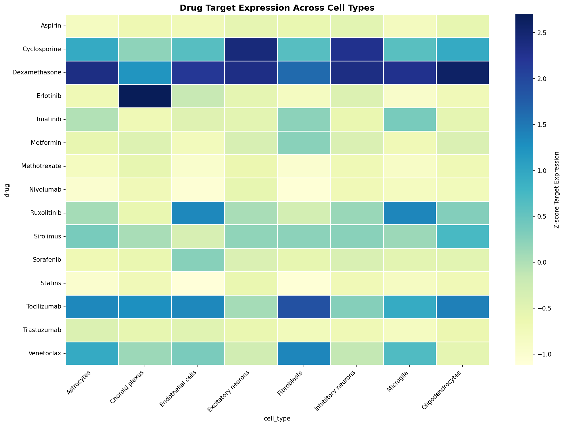 Drug Target Expression Heatmap