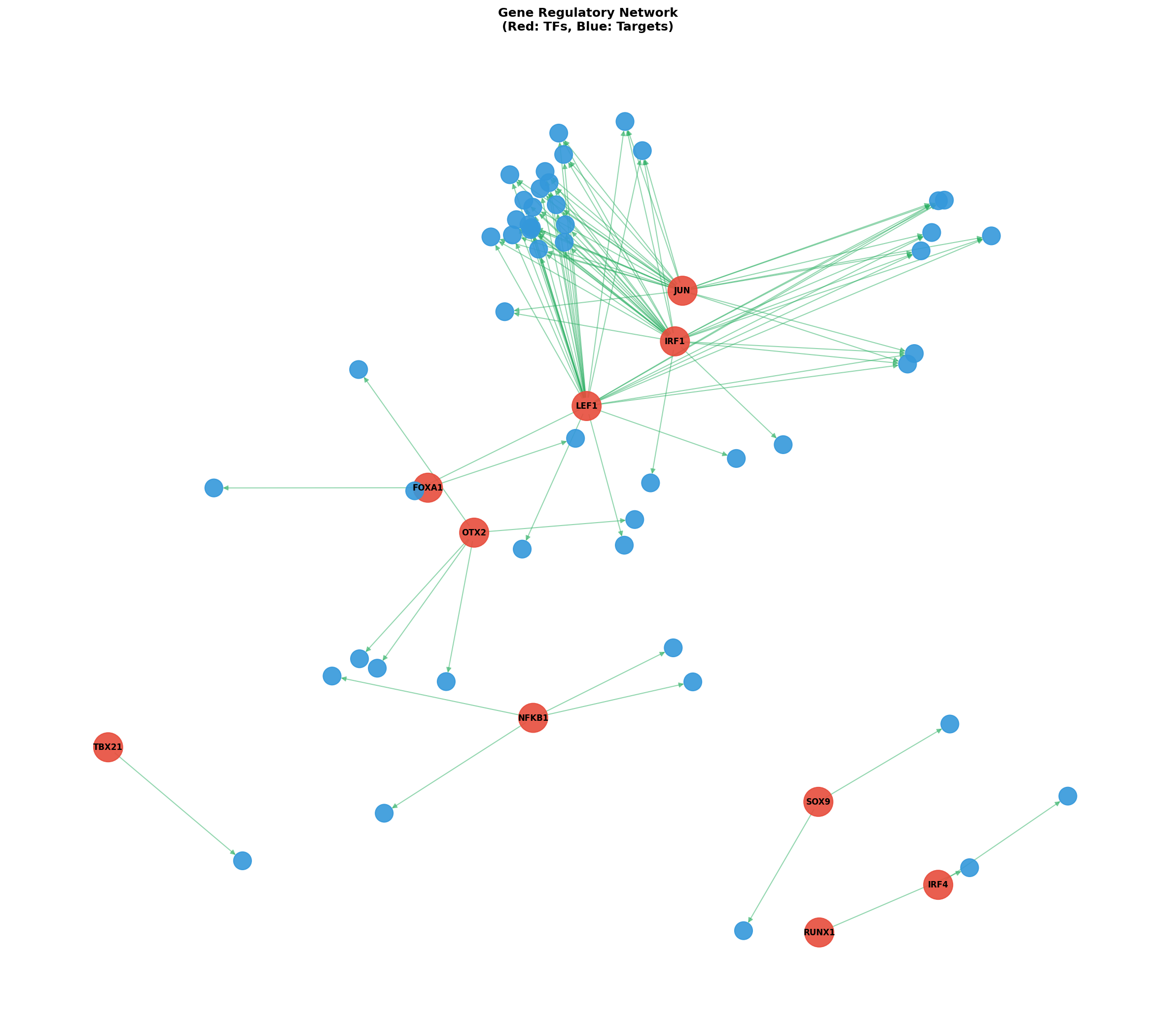 Exploratory TF-Target Association Network