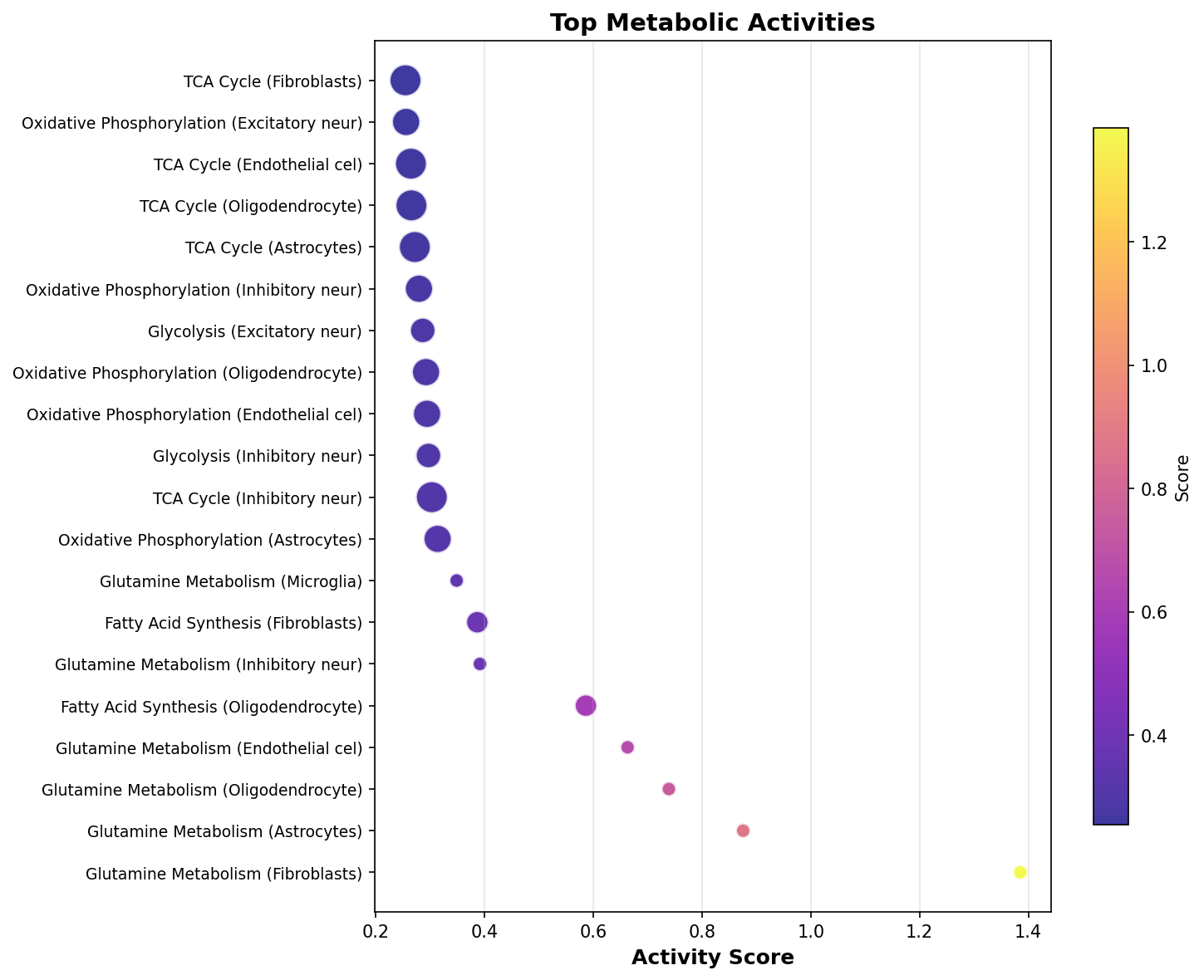 Top Metabolic Activities