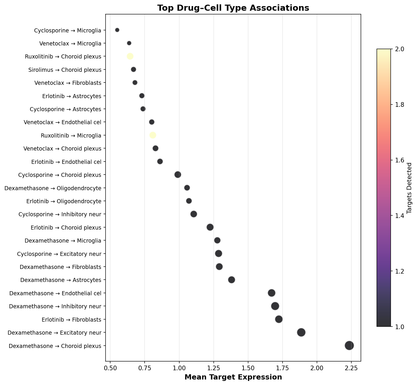 Top Drug–Cell Type Associations
