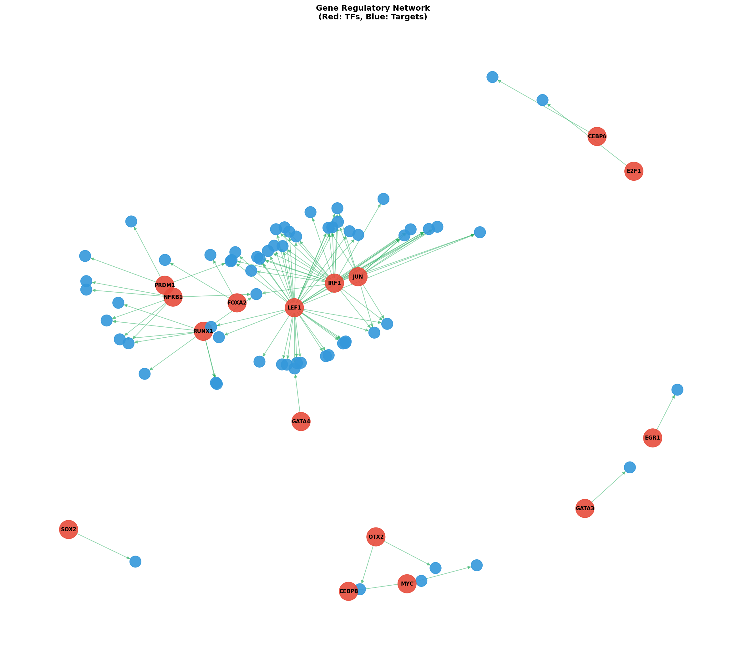 Exploratory TF-Target Association Network