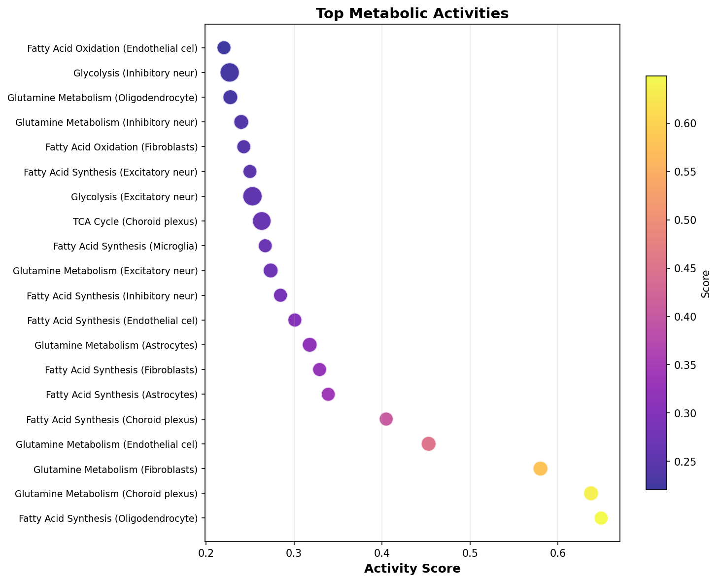 Top Metabolic Activities