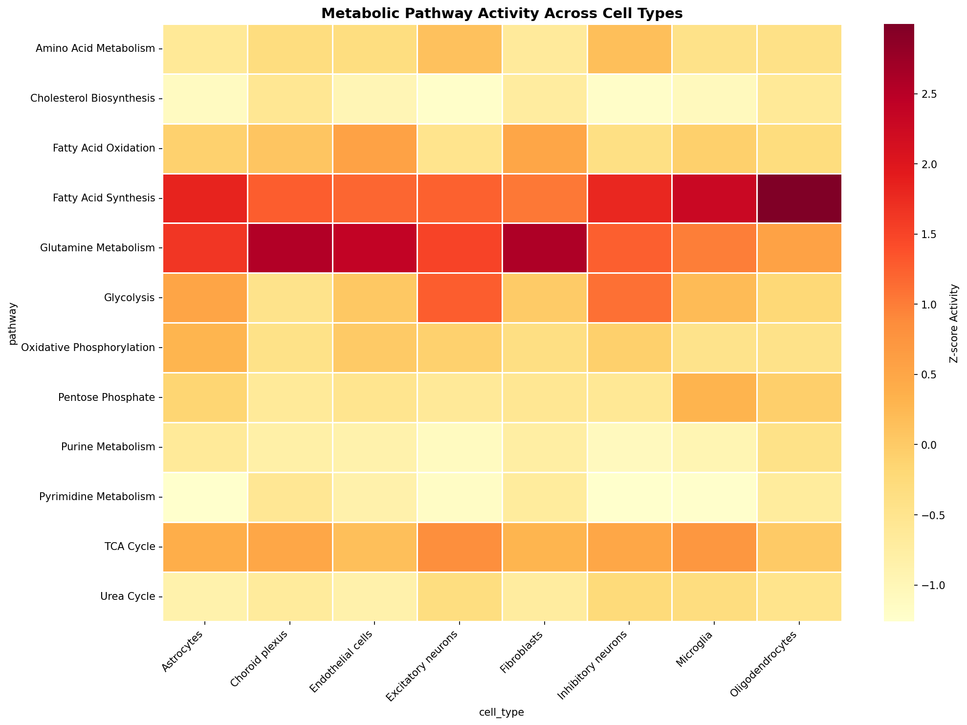 Metabolic Pathway Heatmap