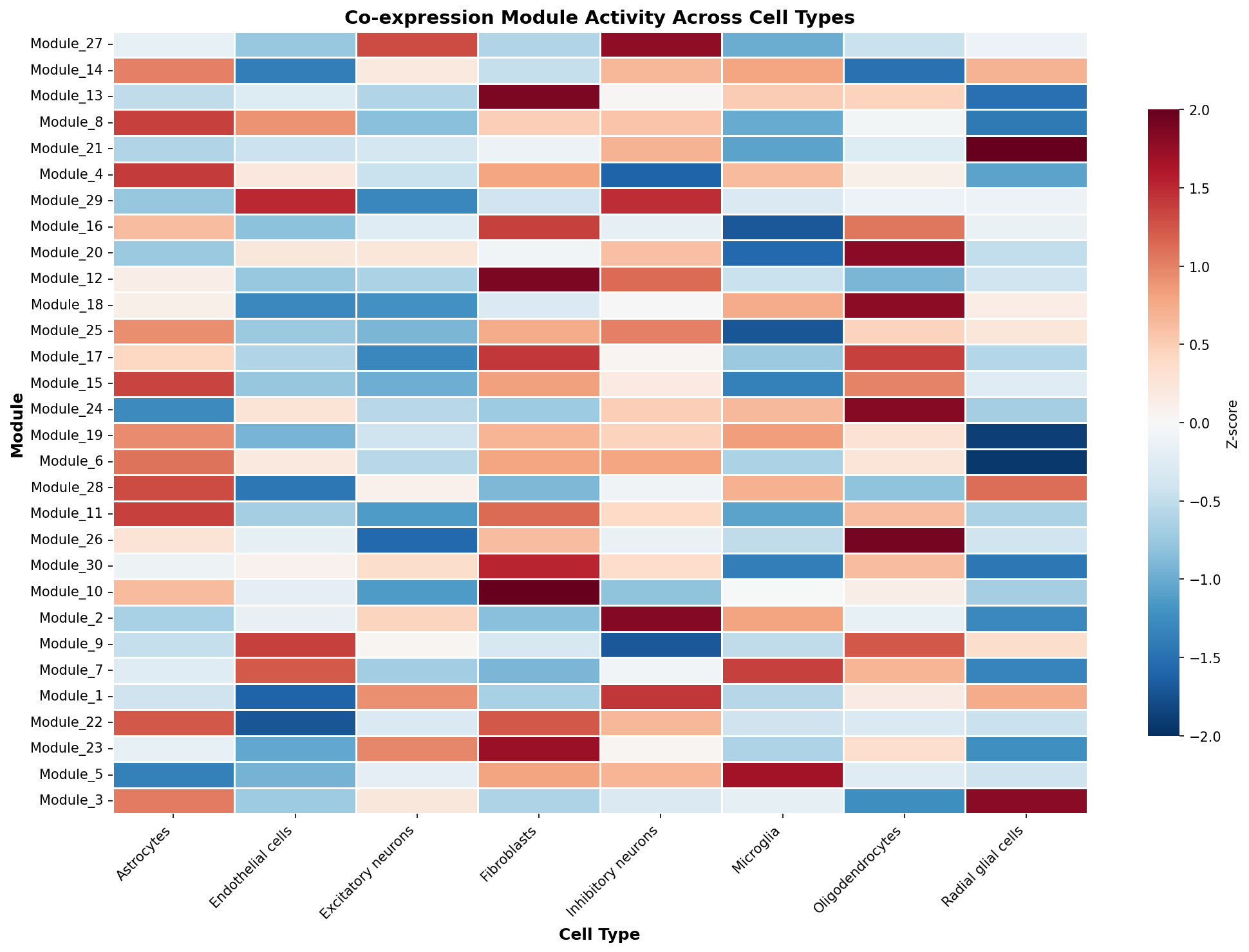 Module-Cell Type Association