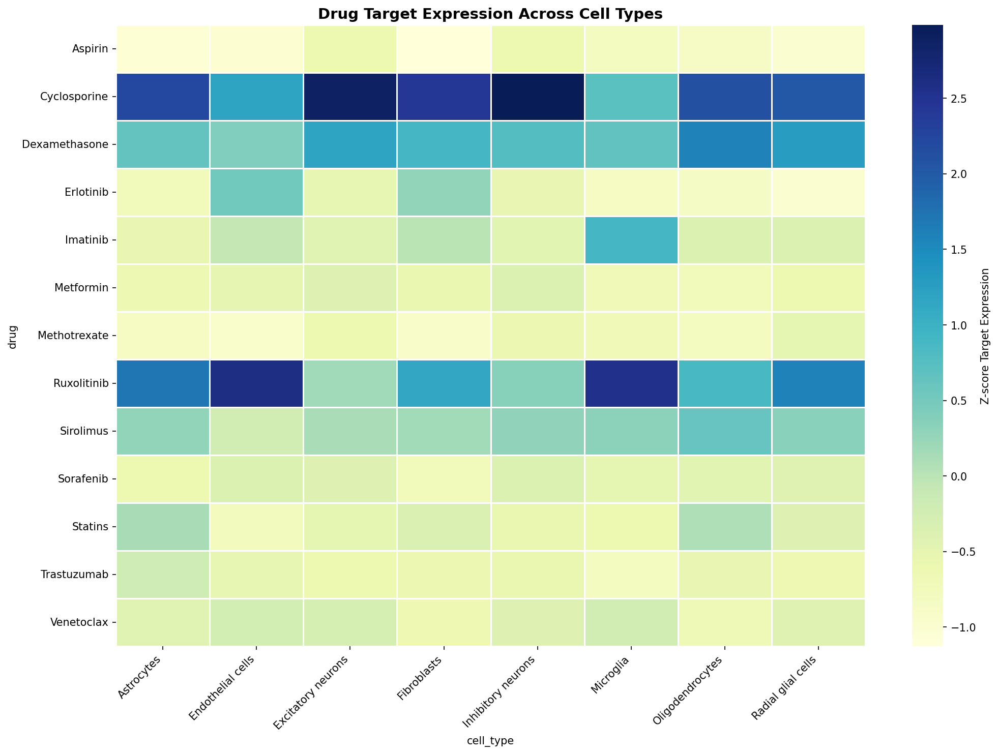 Drug Target Expression Heatmap