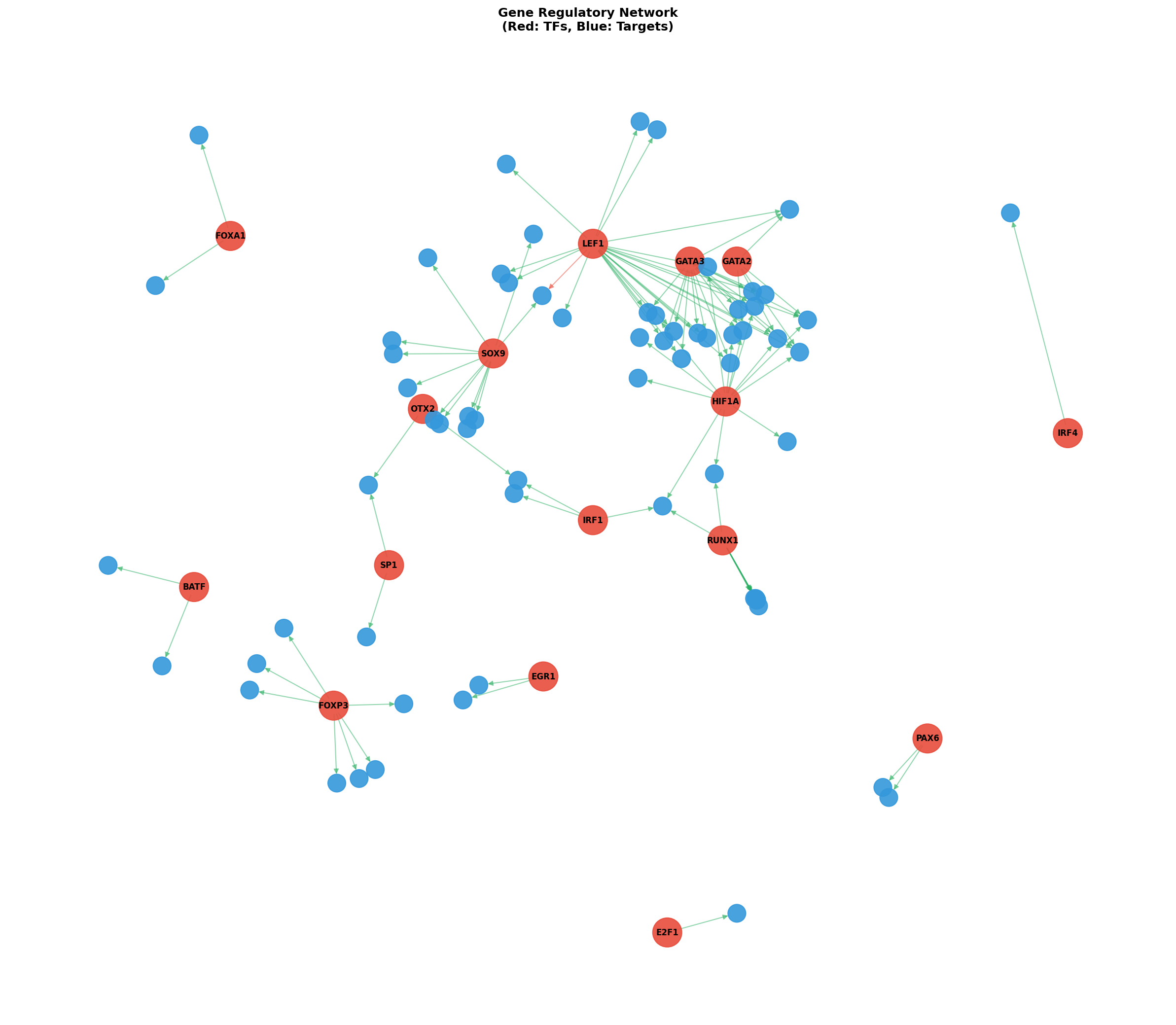 Exploratory TF-Target Association Network