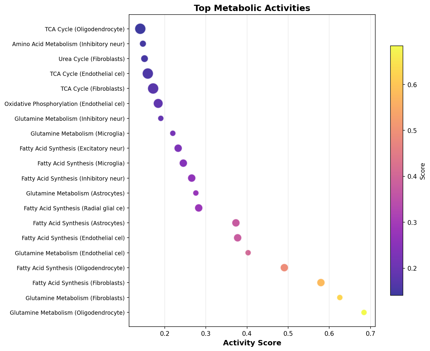 Top Metabolic Activities