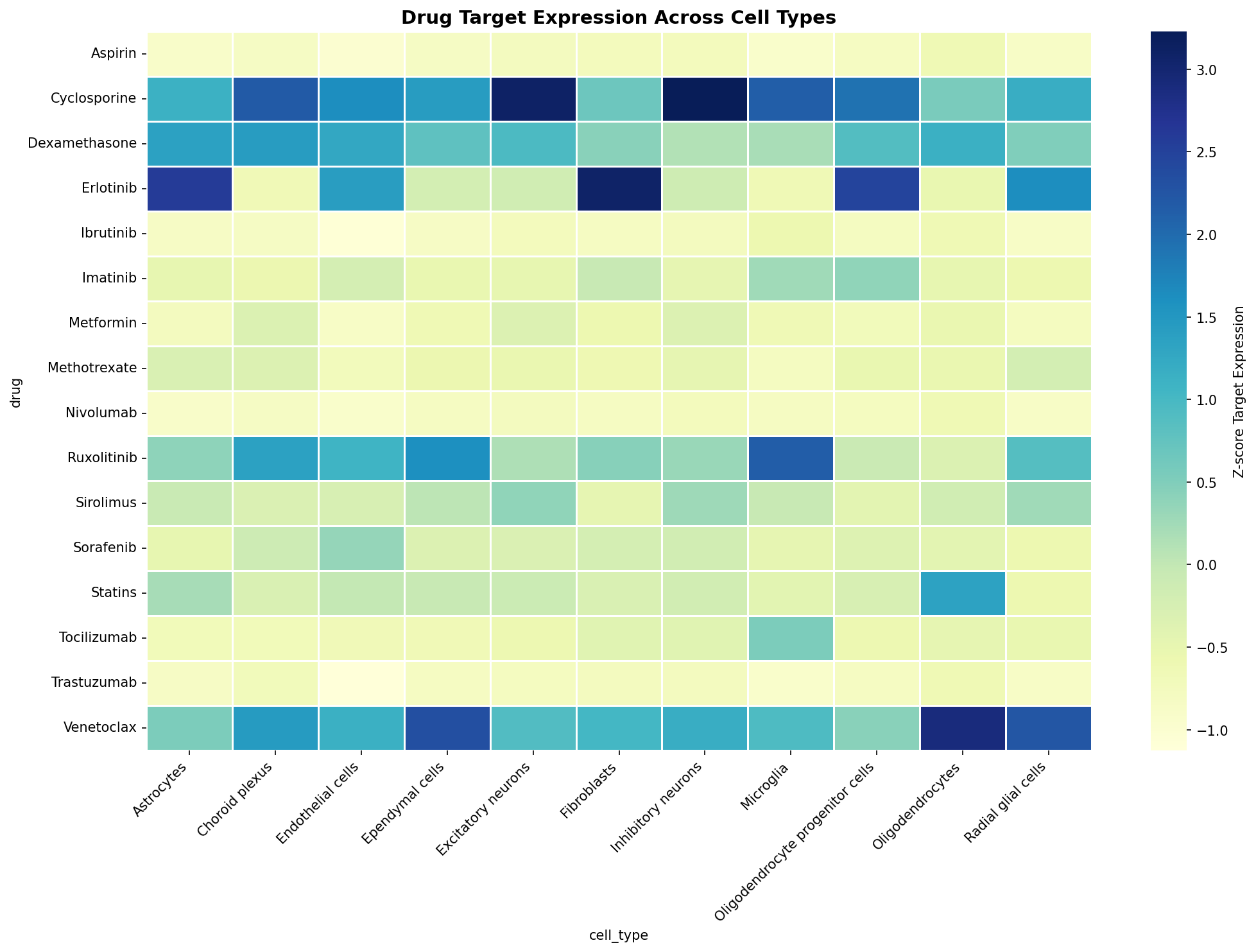 Drug Target Expression Heatmap