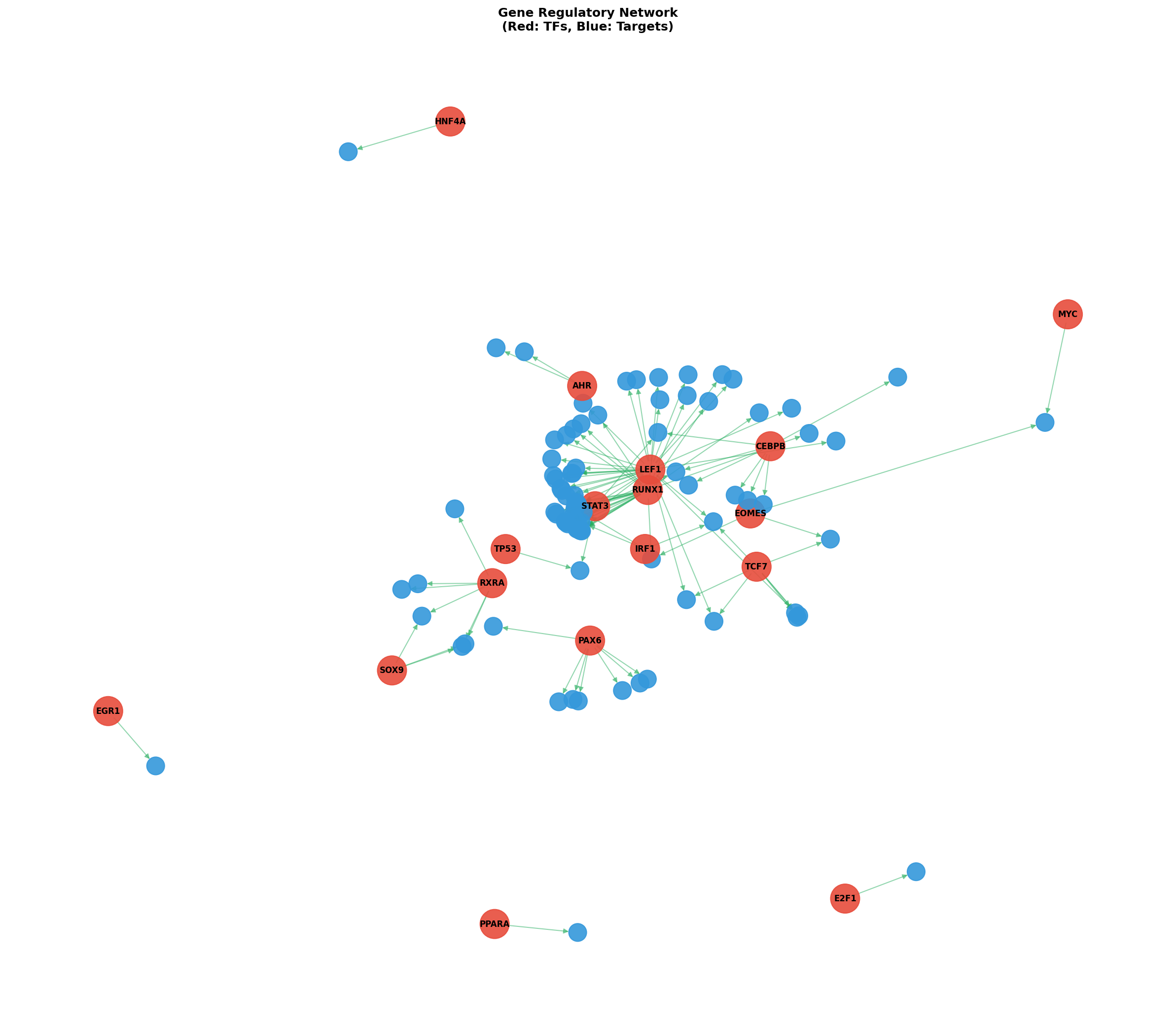Exploratory TF-Target Association Network