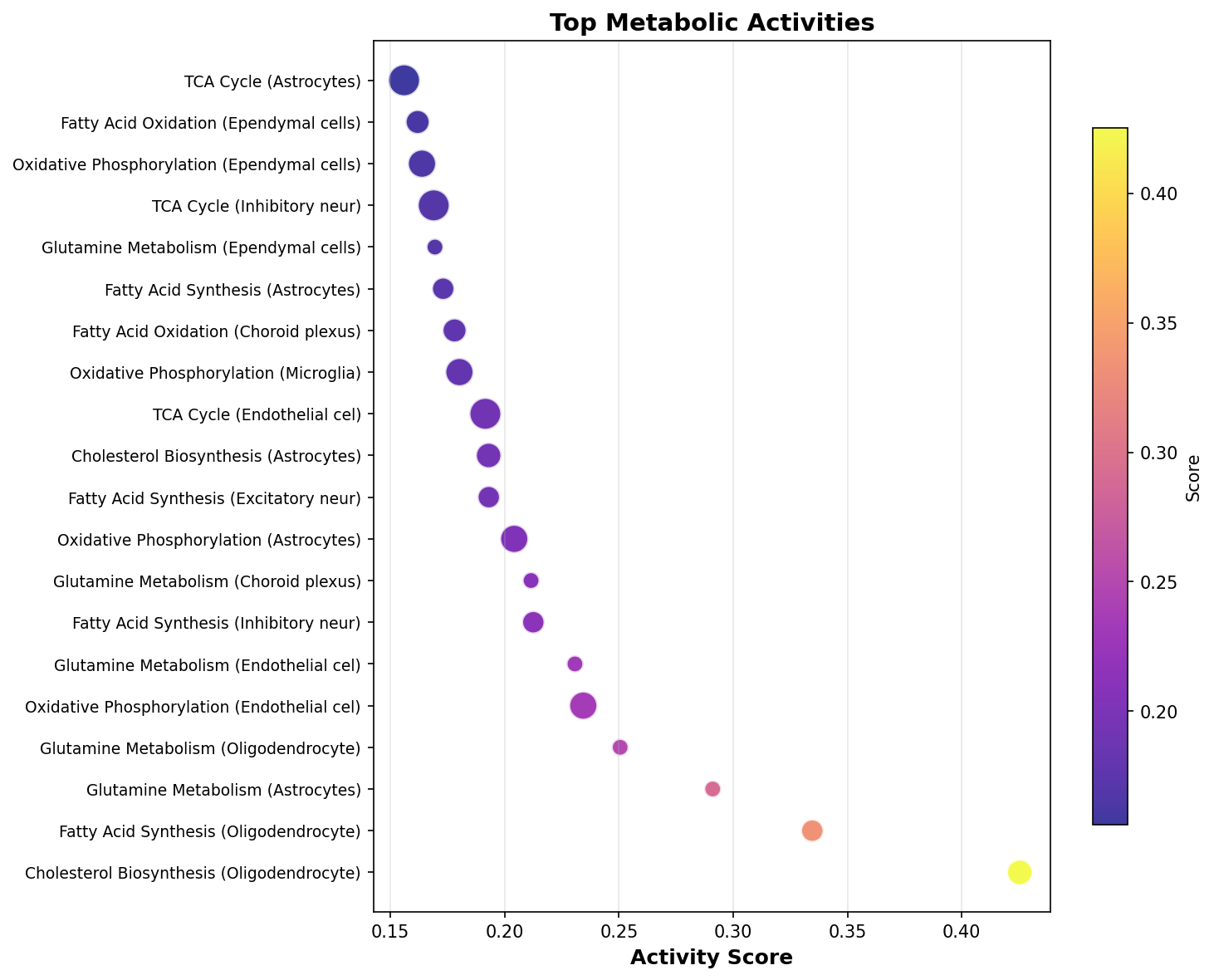 Top Metabolic Activities