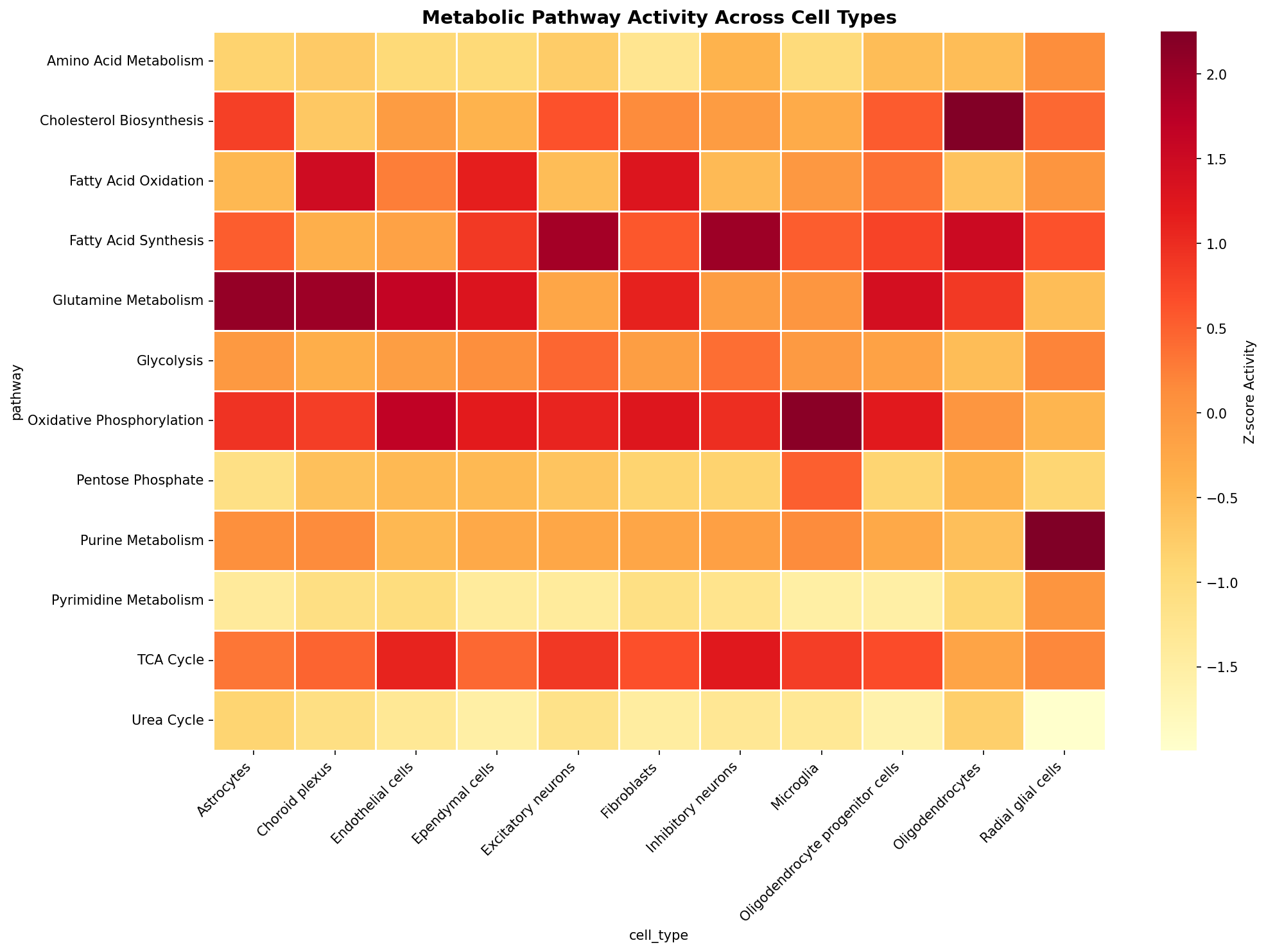 Metabolic Pathway Heatmap
