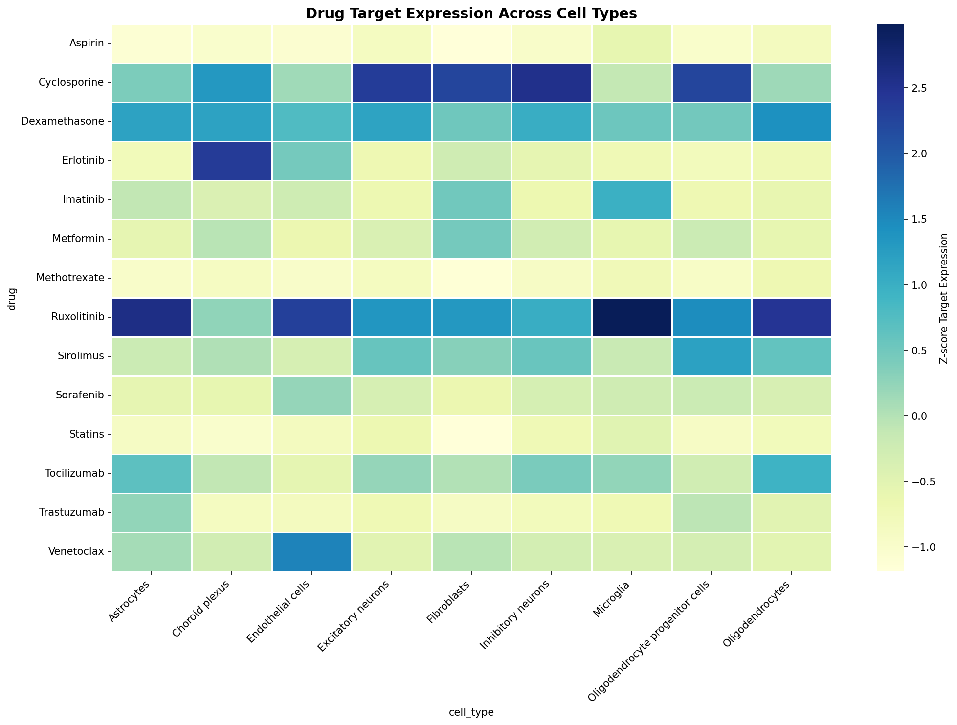 Drug Target Expression Heatmap