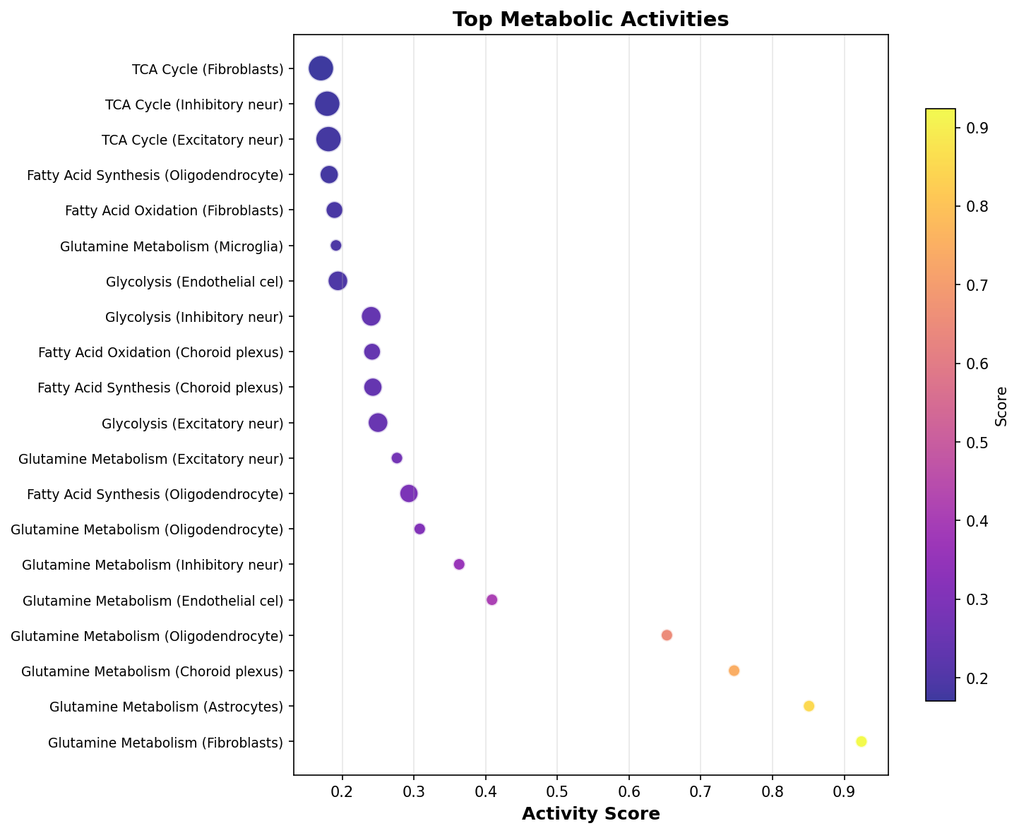 Top Metabolic Activities