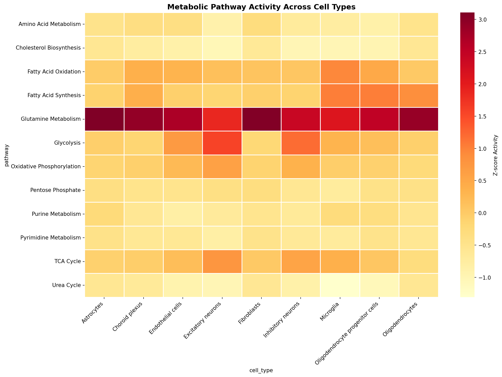 Metabolic Pathway Heatmap