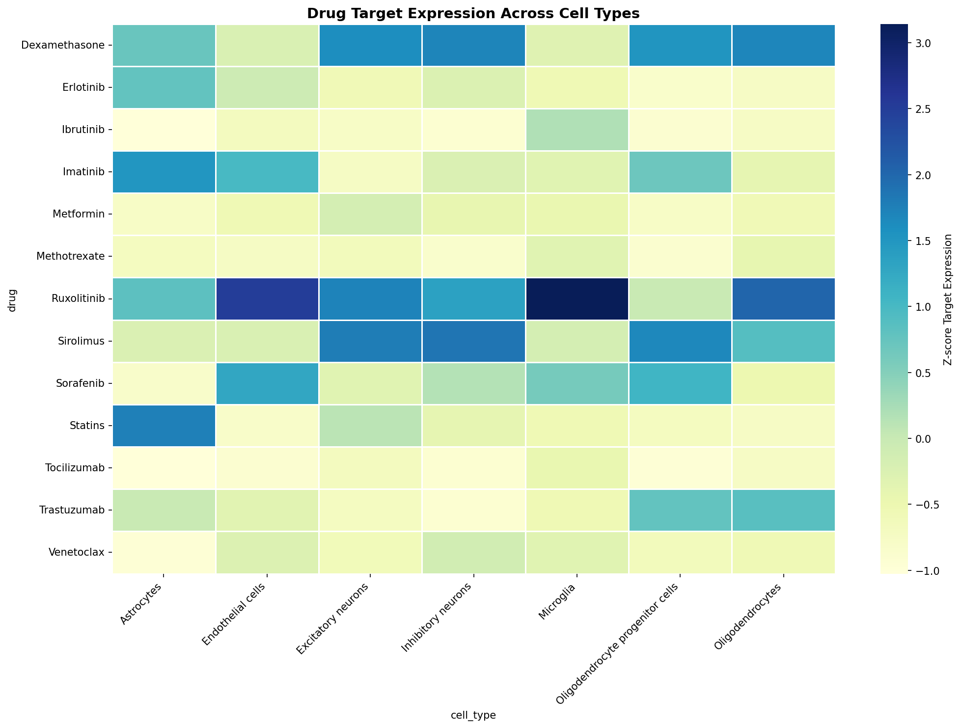 Drug Target Expression Heatmap