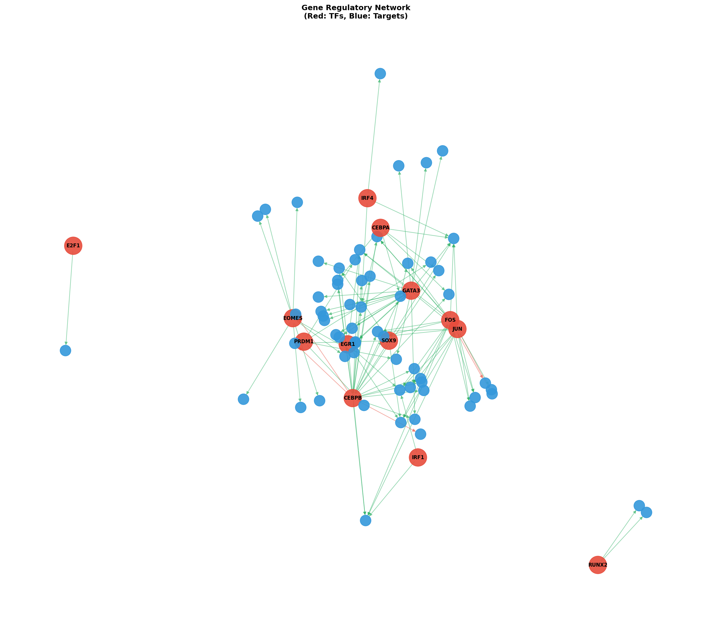 Exploratory TF-Target Association Network