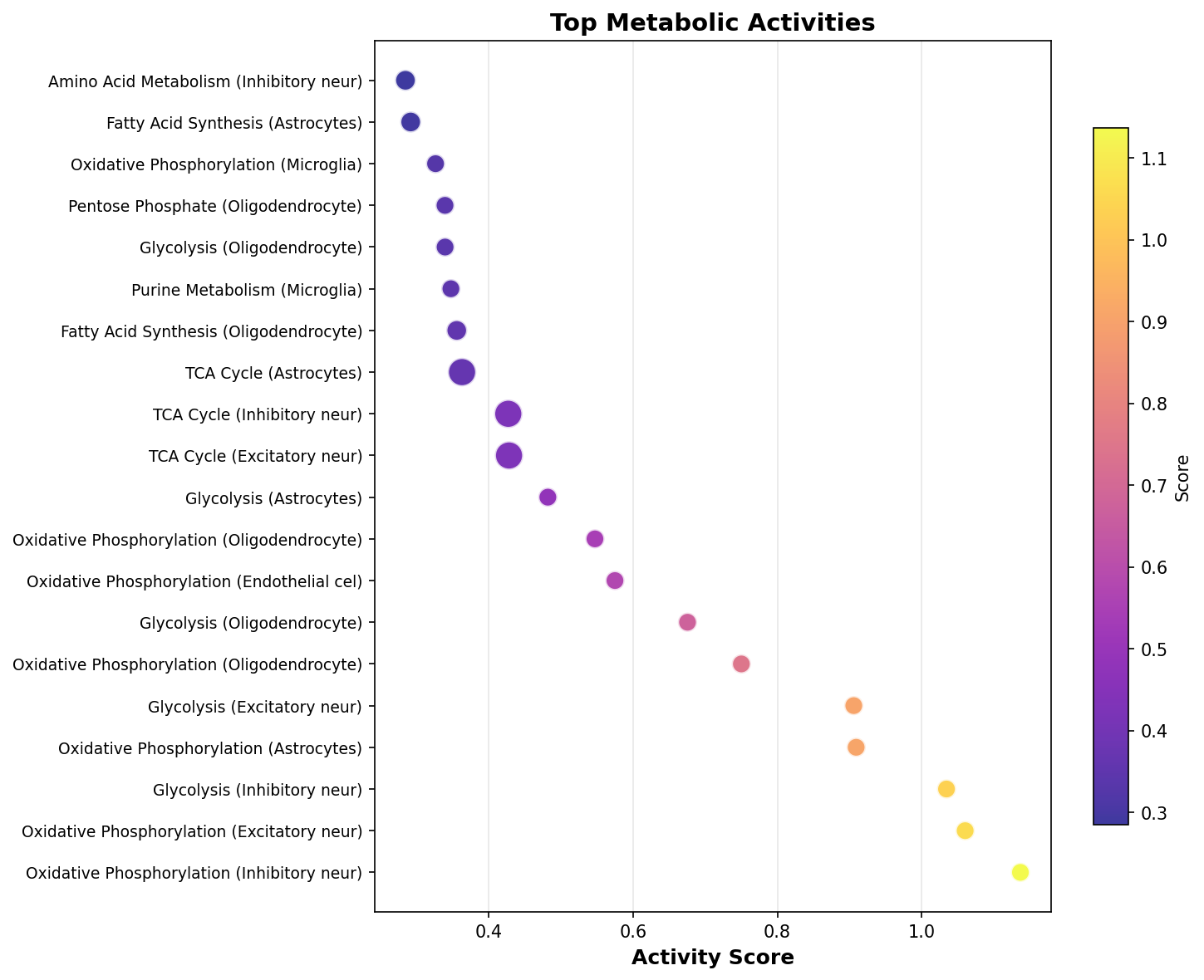 Top Metabolic Activities