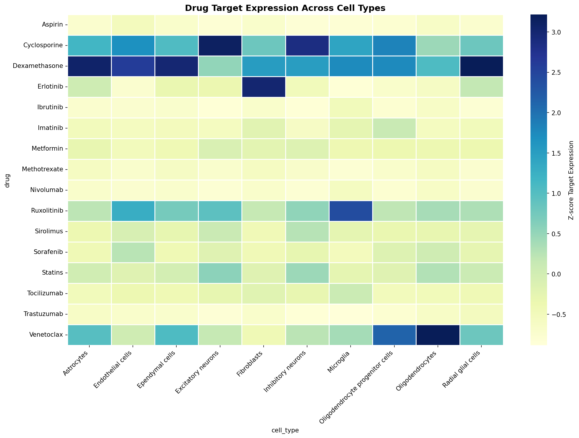 Drug Target Expression Heatmap