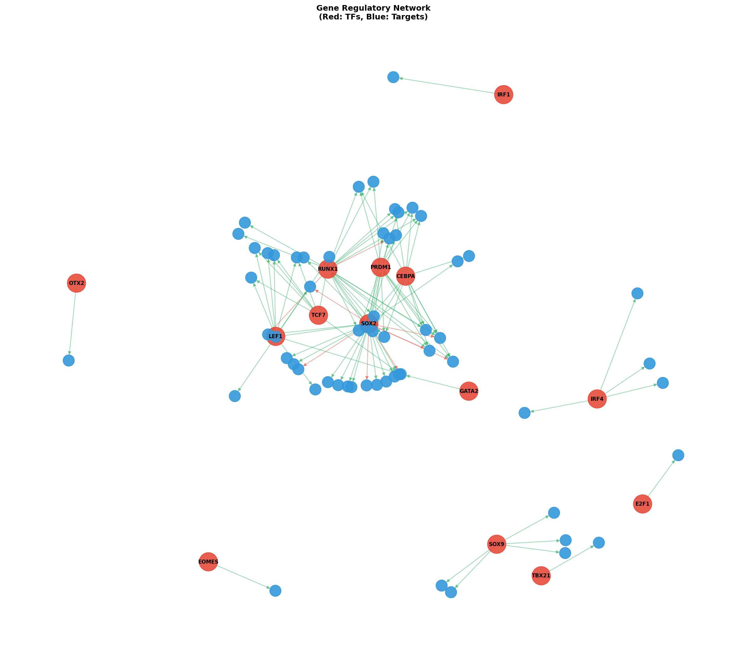 Exploratory TF-Target Association Network