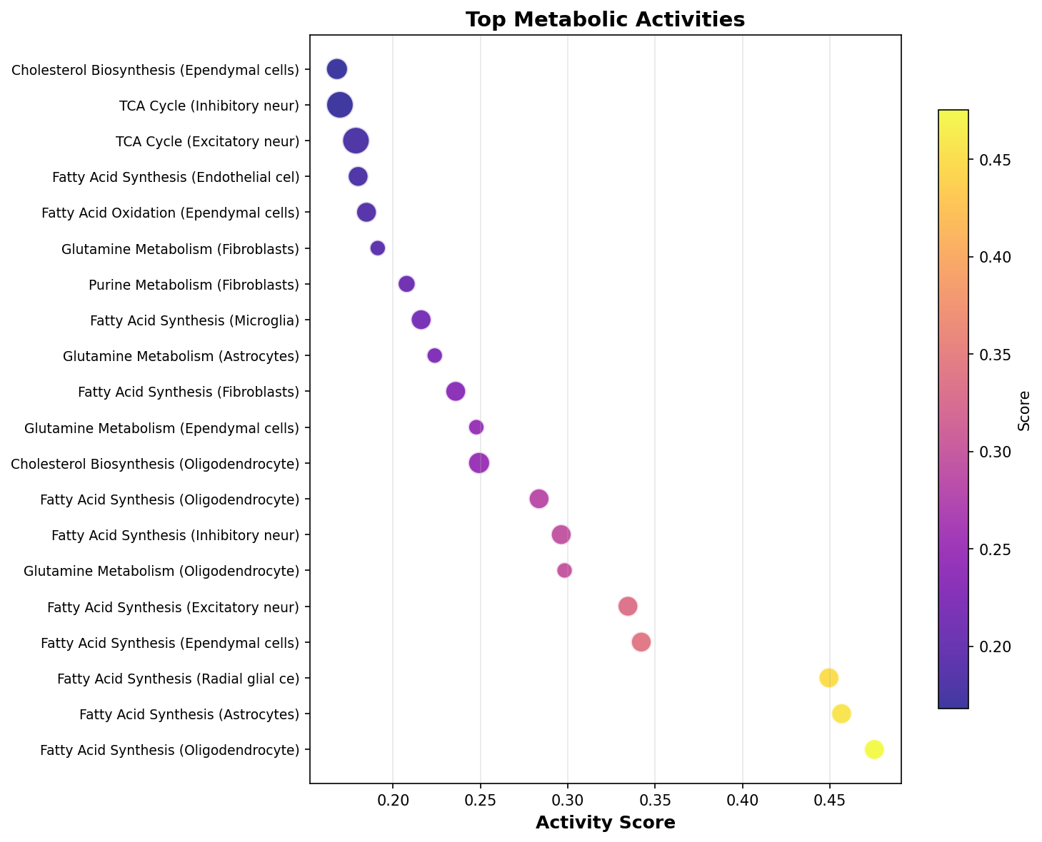 Top Metabolic Activities