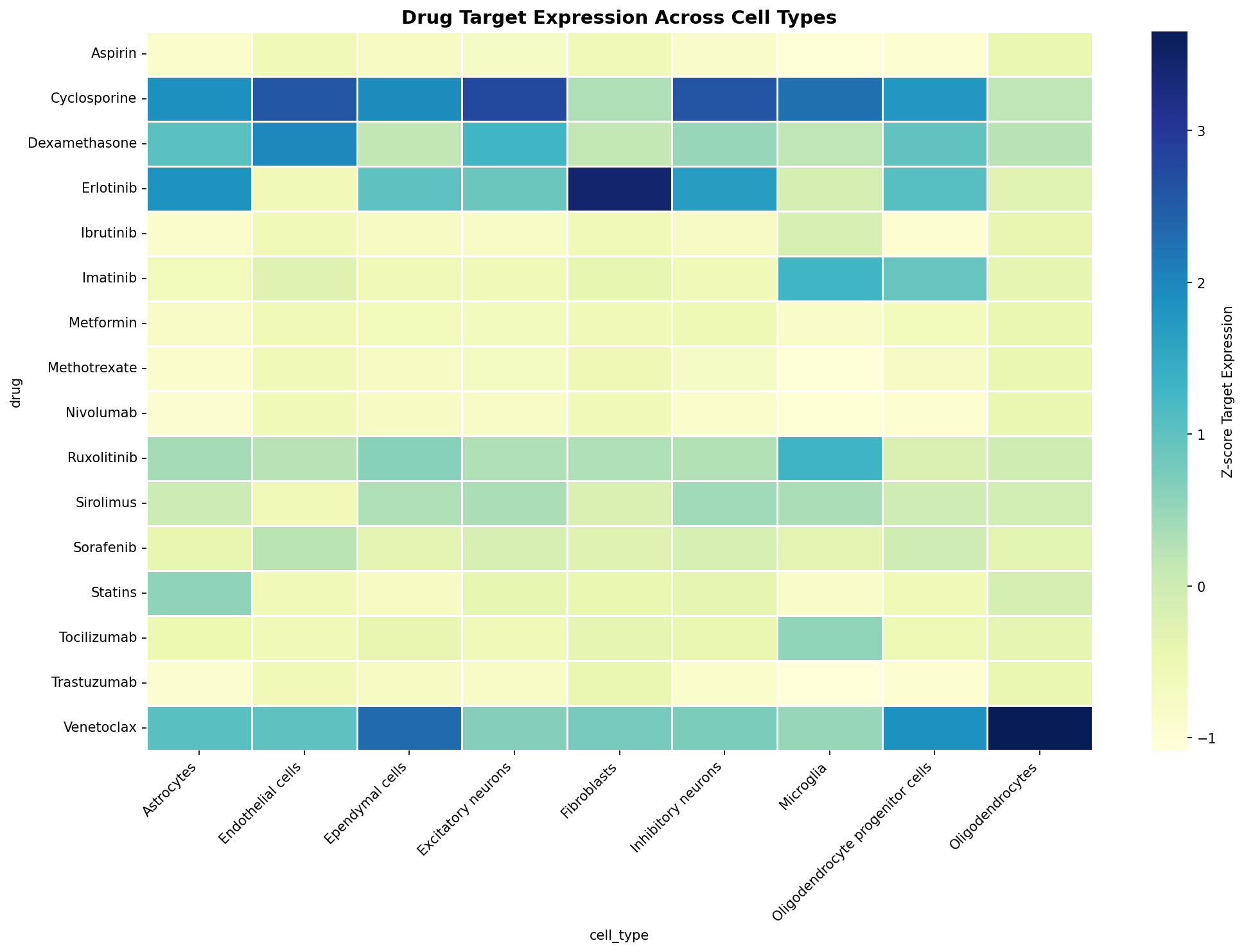 Drug Target Expression Heatmap