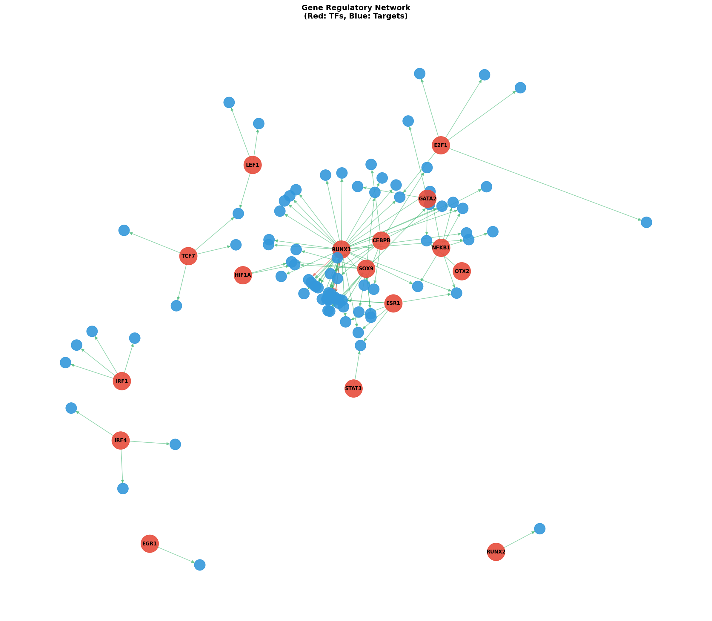 Exploratory TF-Target Association Network
