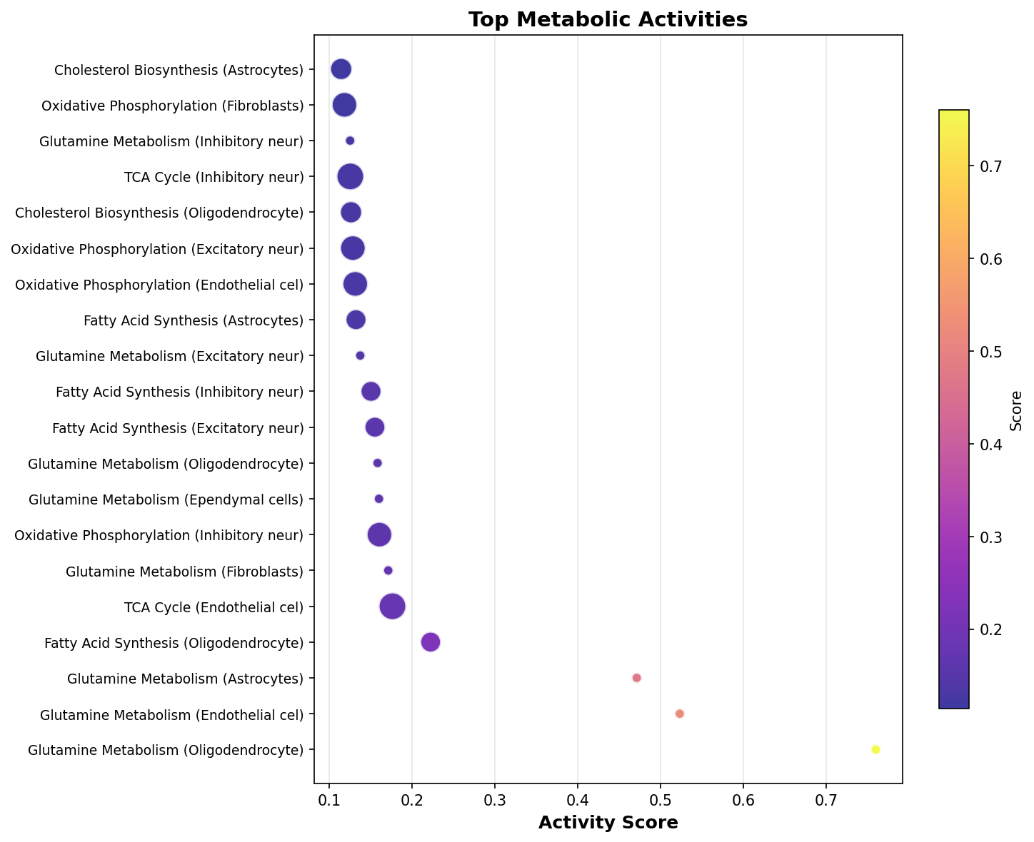 Top Metabolic Activities