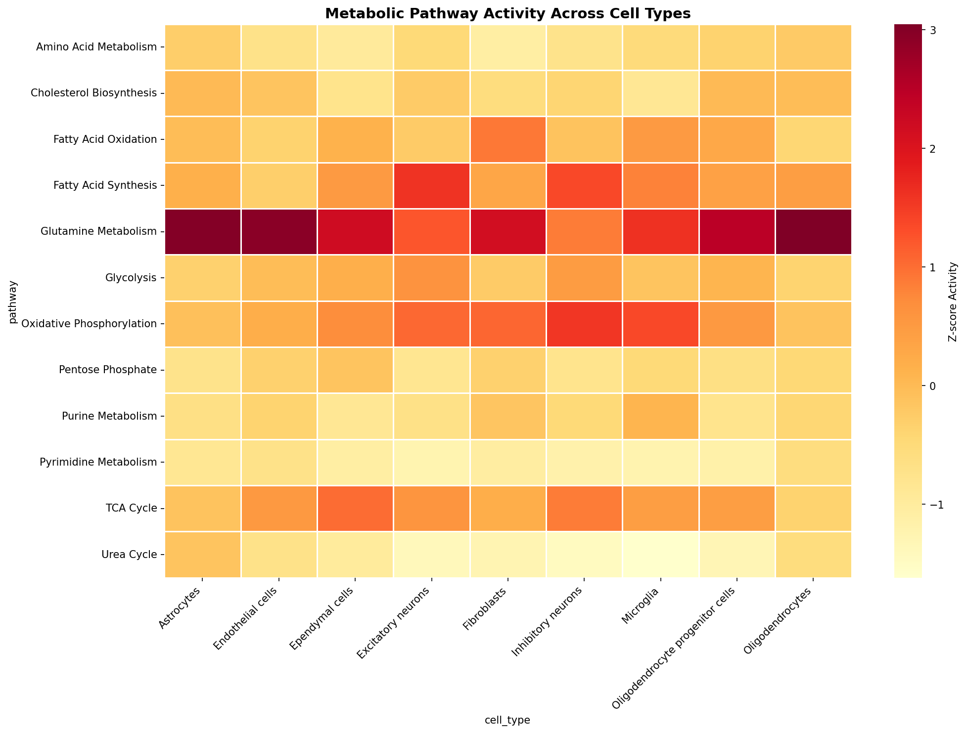 Metabolic Pathway Heatmap