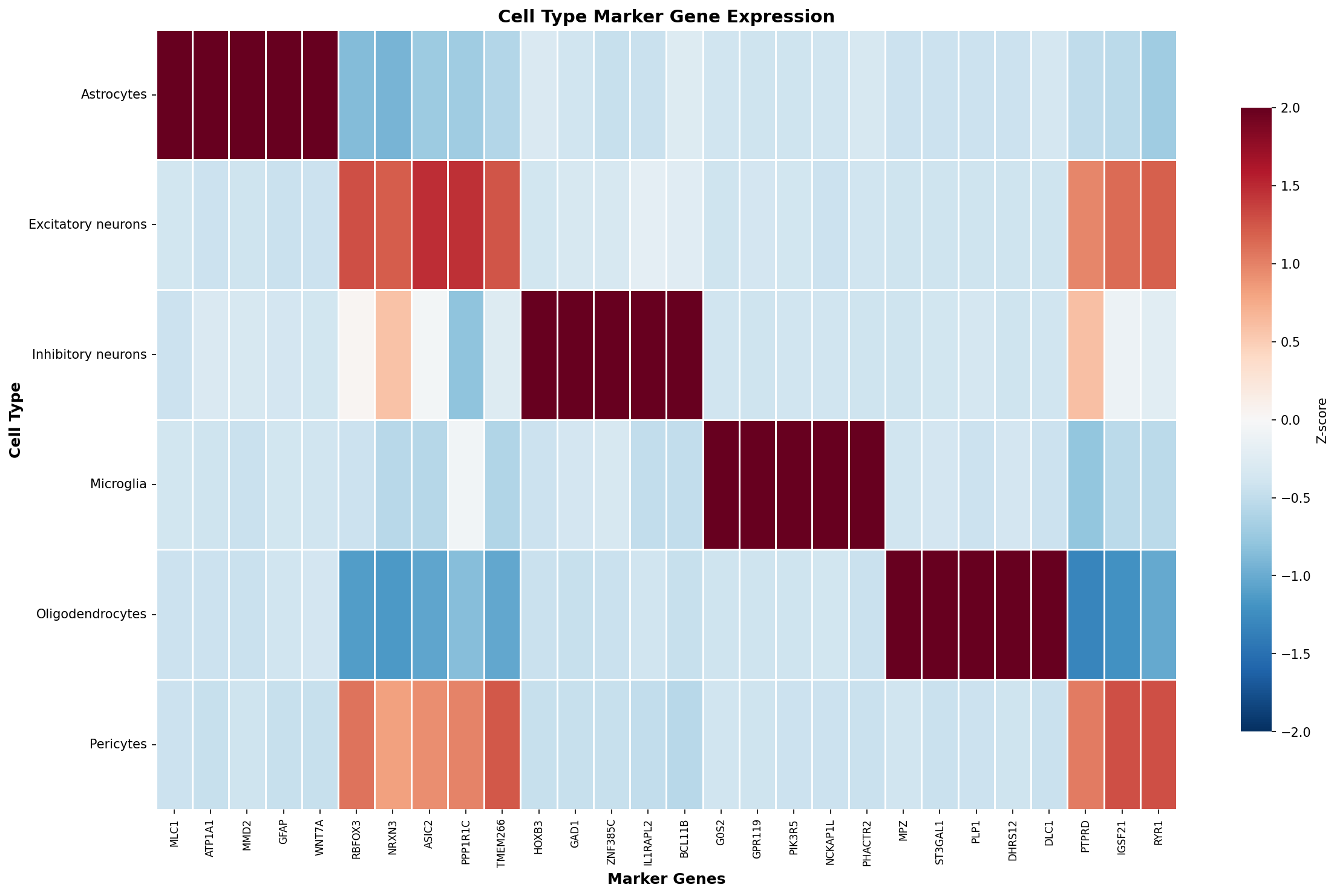 Marker Gene Heatmap