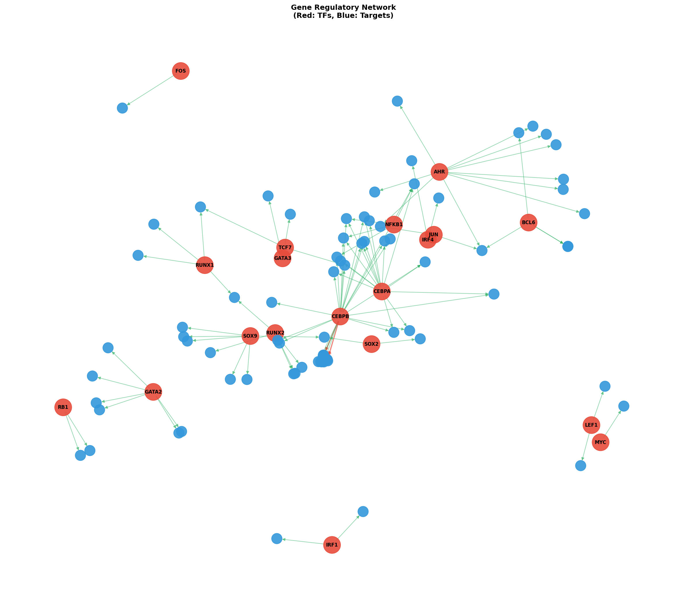Exploratory TF-Target Association Network