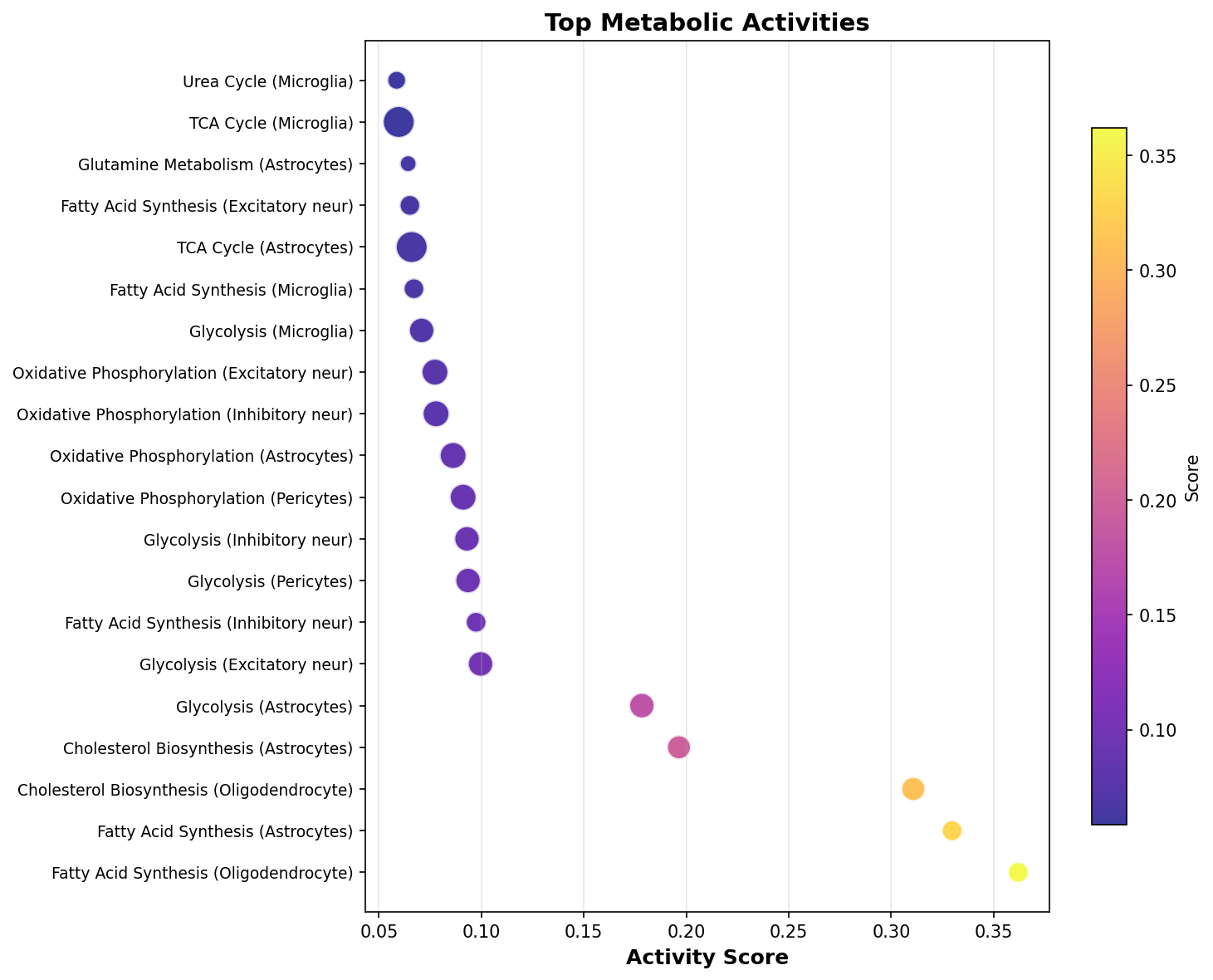 Top Metabolic Activities