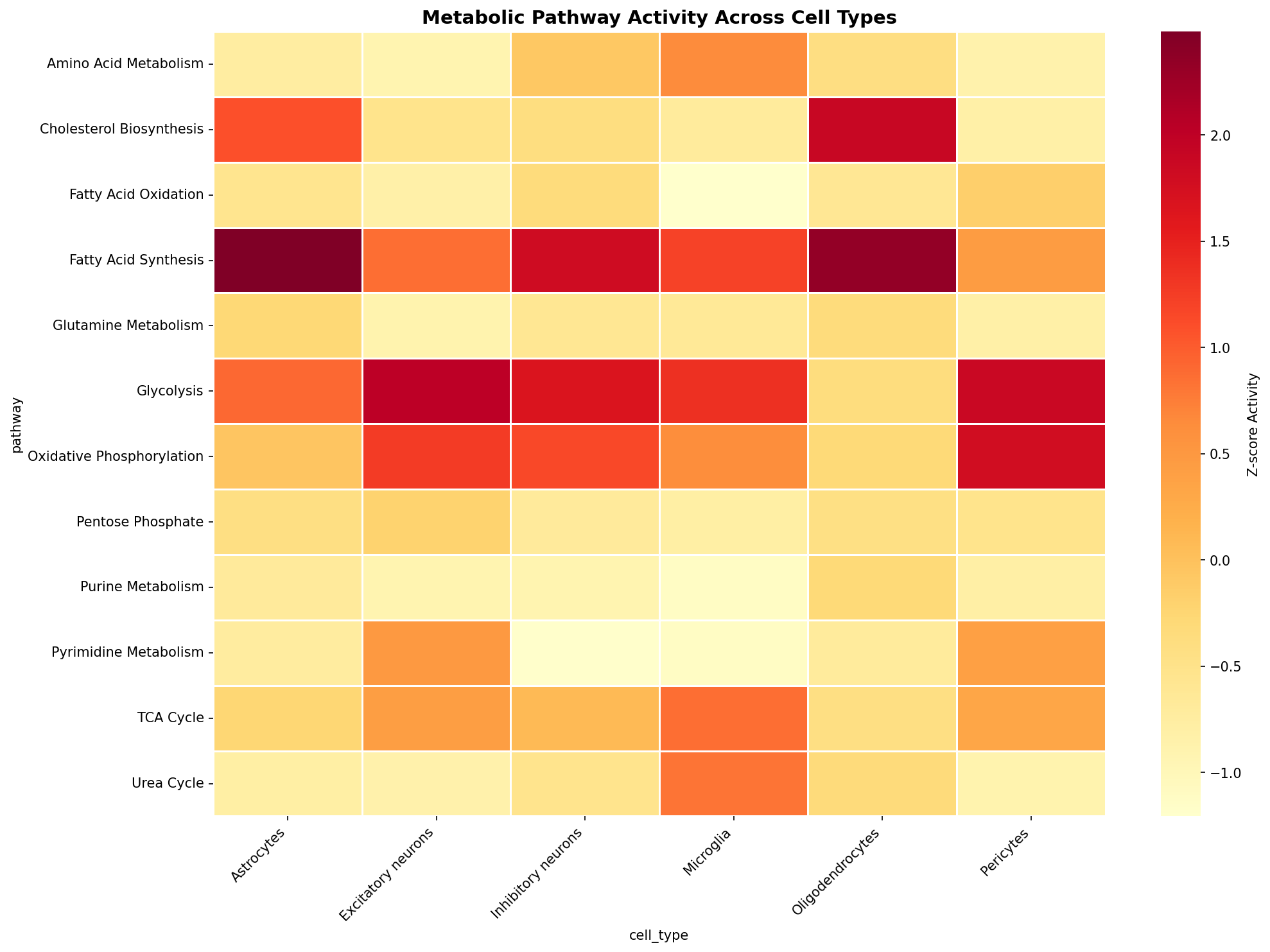 Metabolic Pathway Heatmap