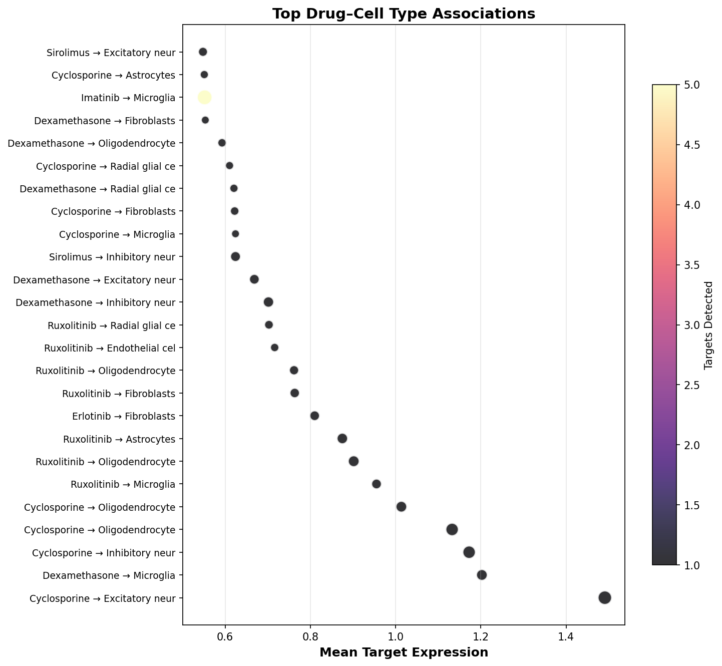 Top Drug–Cell Type Associations