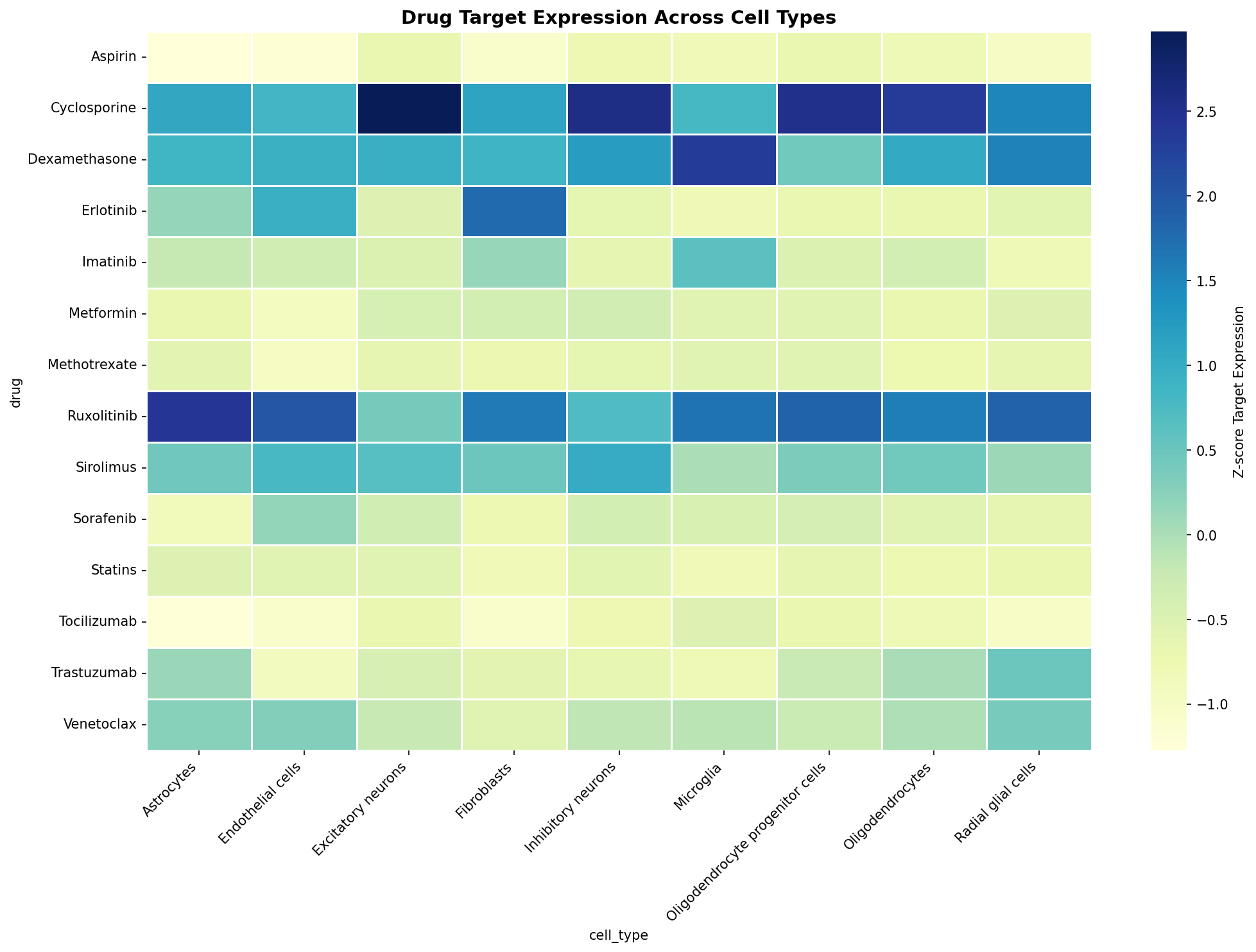 Drug Target Expression Heatmap