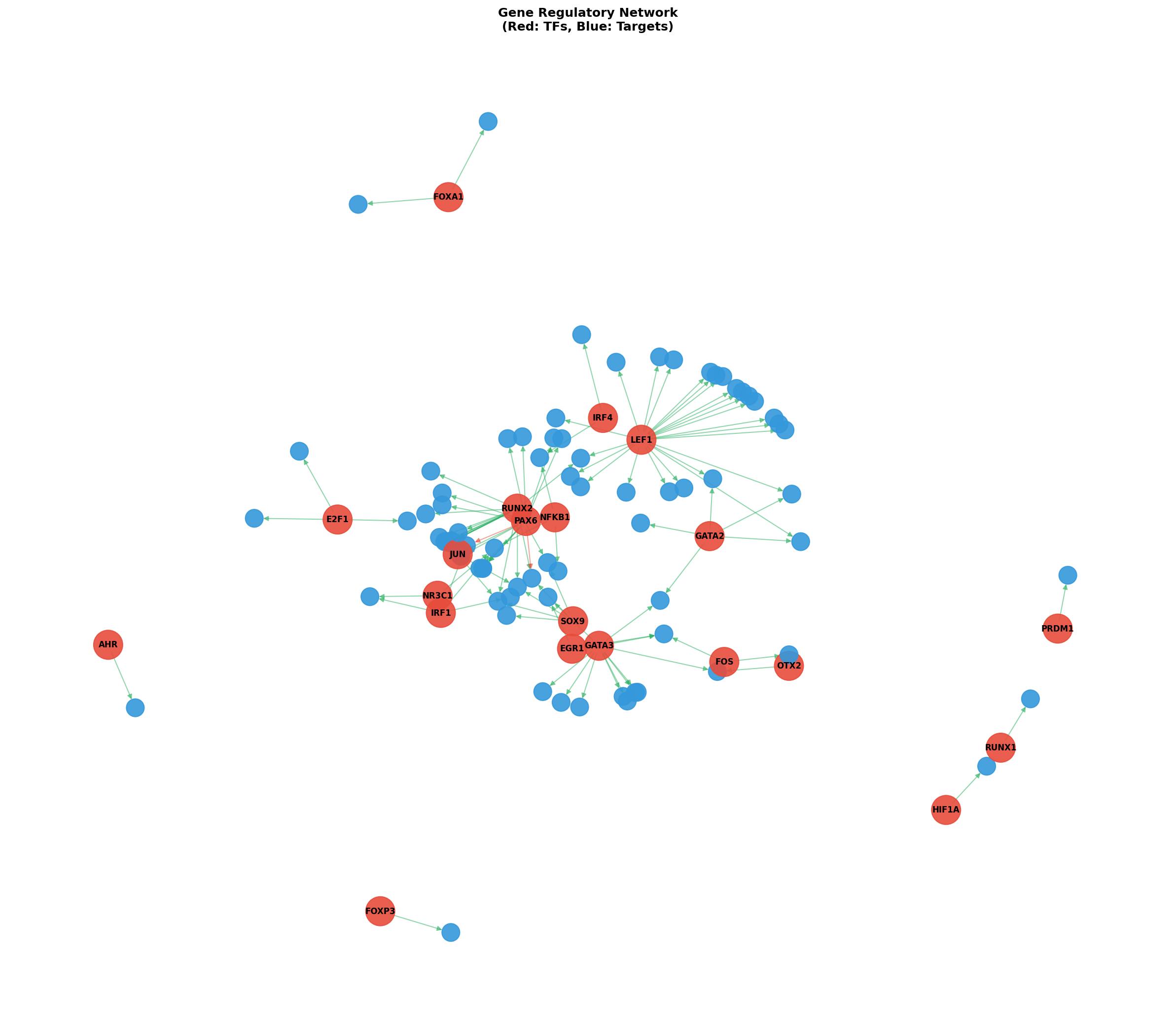 Exploratory TF-Target Association Network