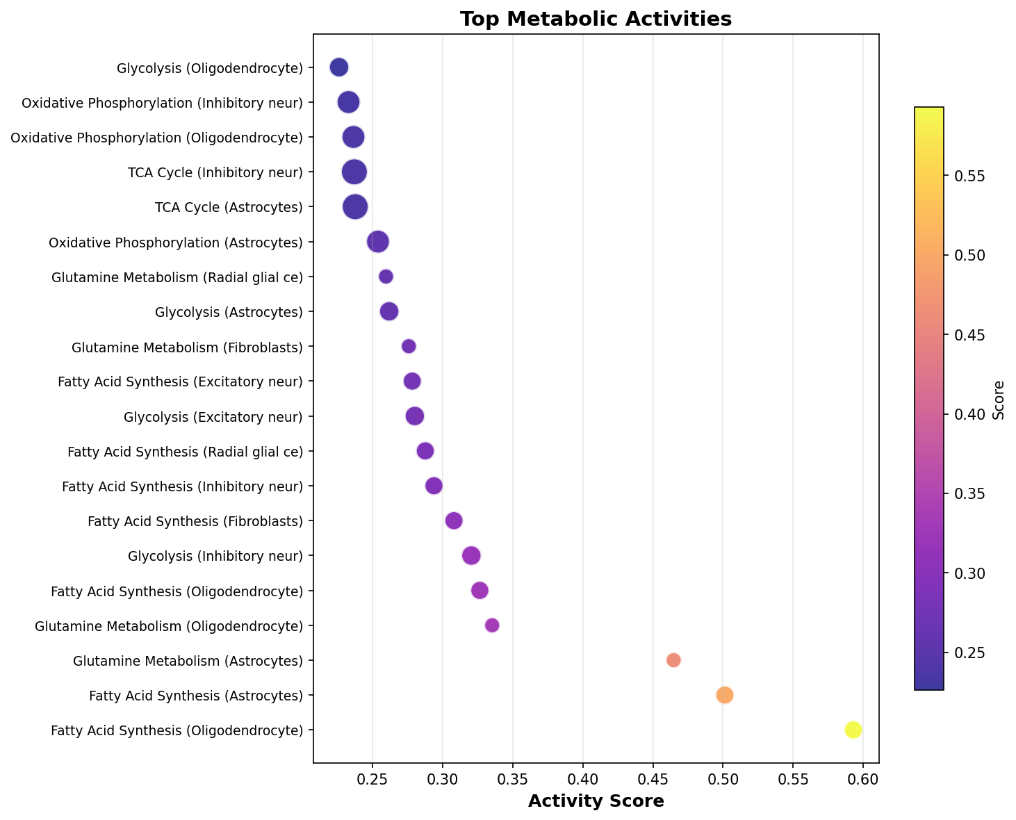 Top Metabolic Activities