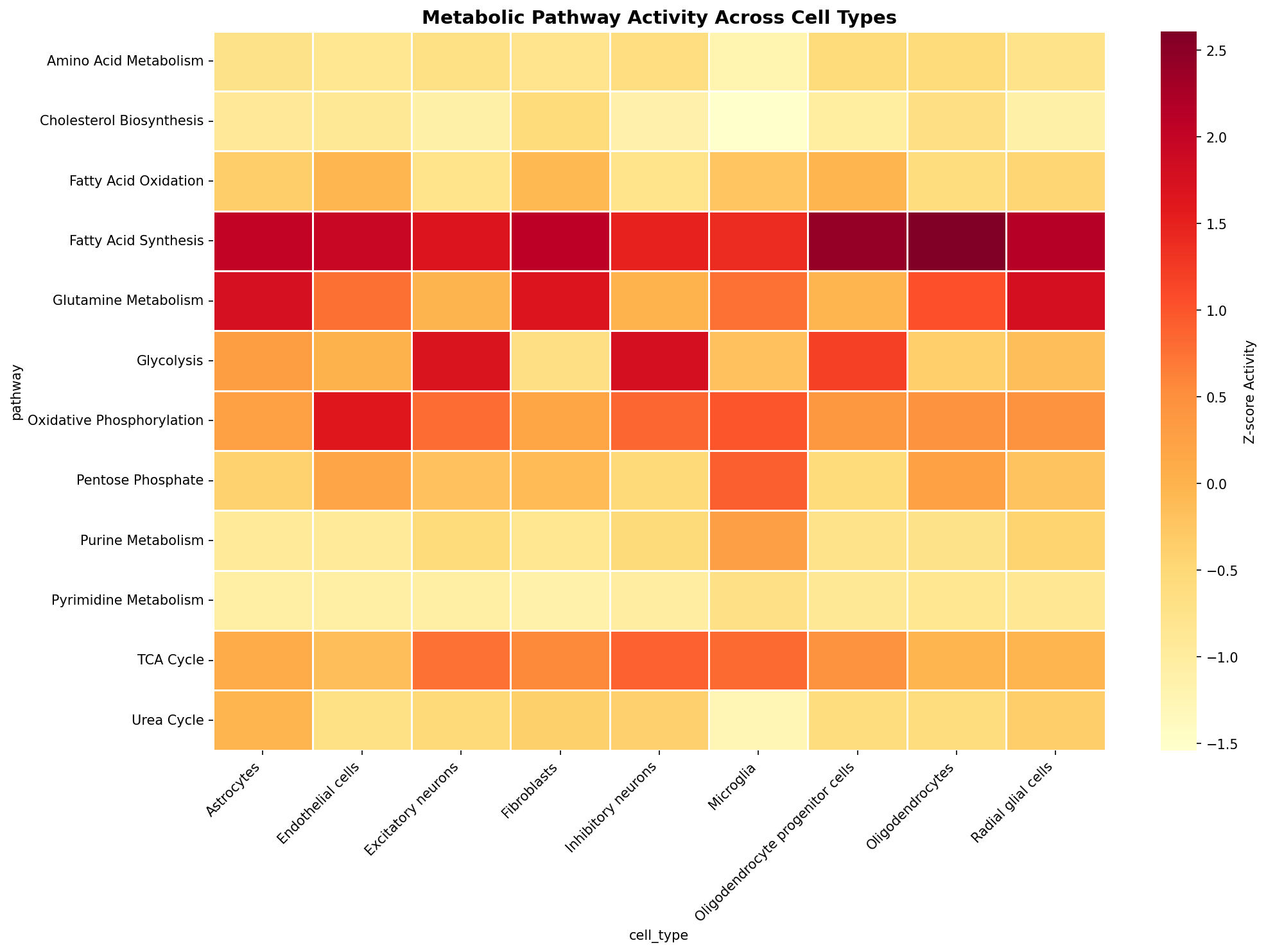 Metabolic Pathway Heatmap