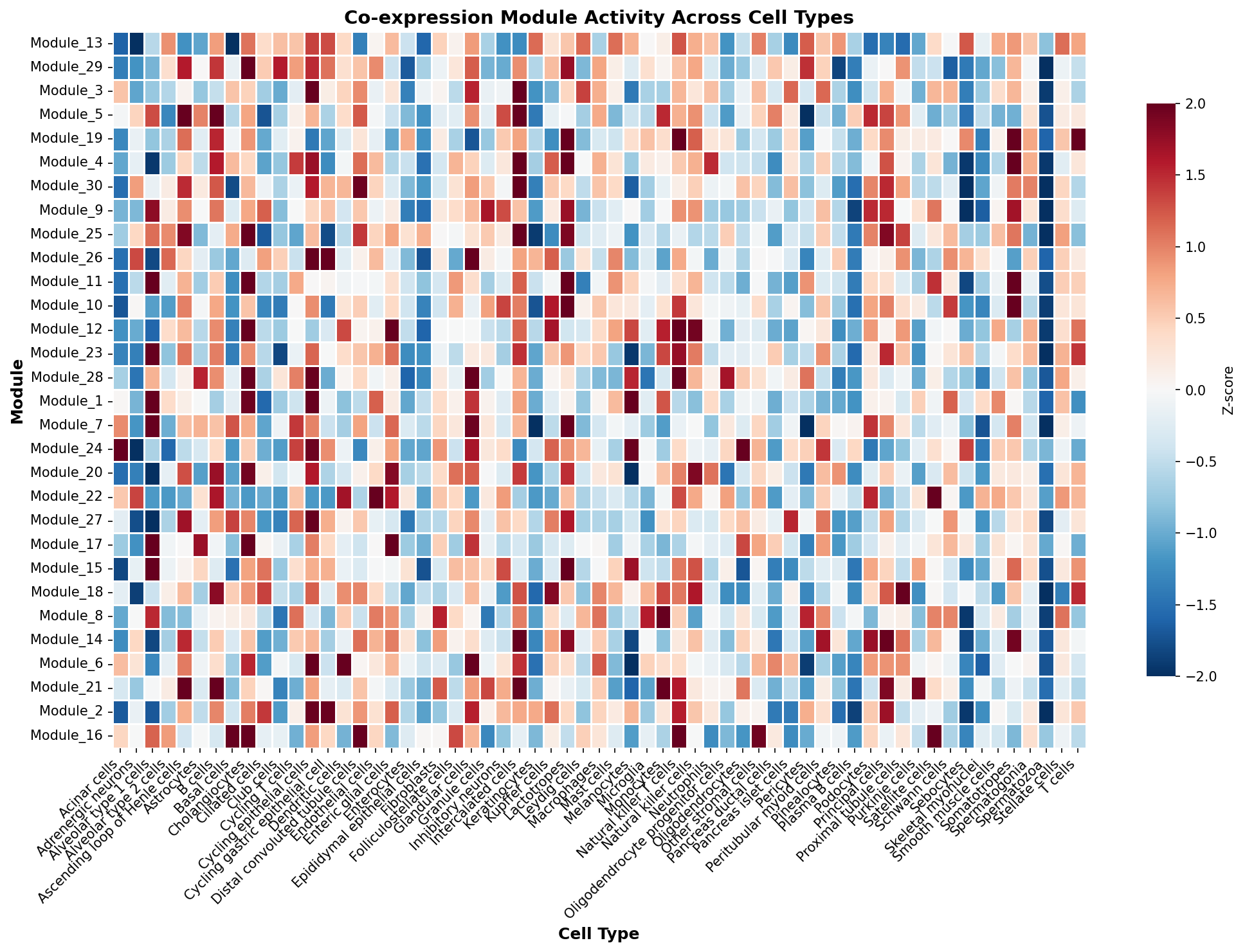 Module-Cell Type Association