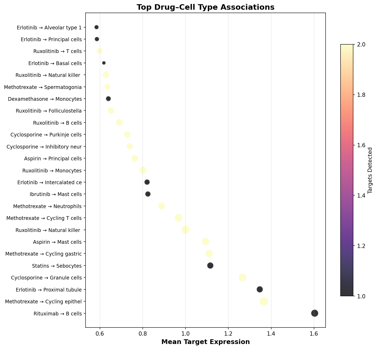 Top Drug–Cell Type Associations