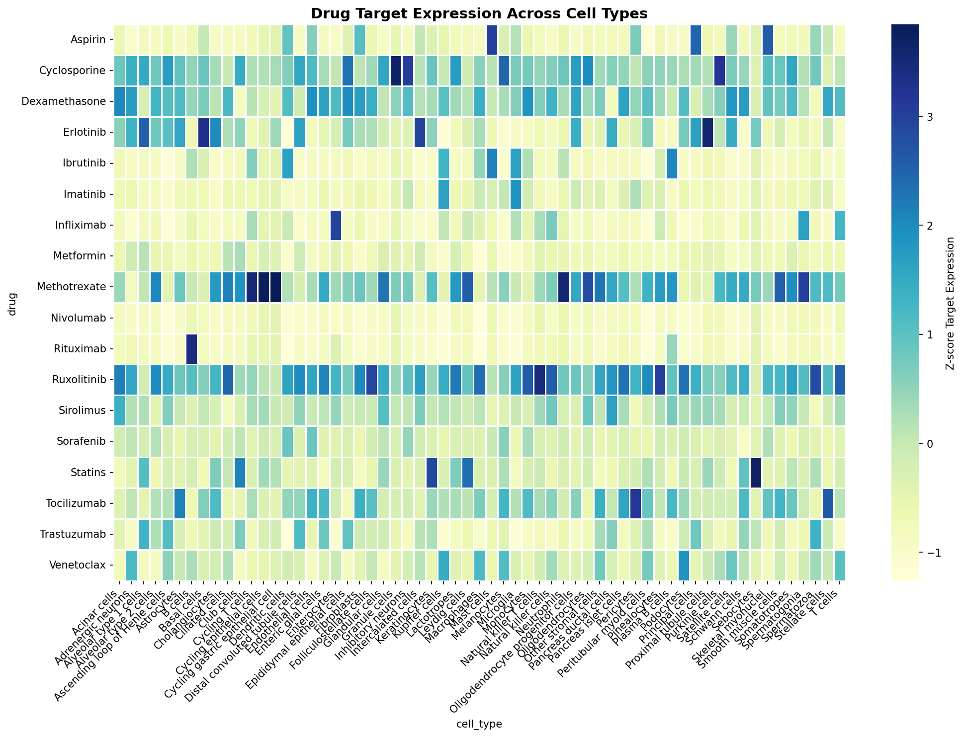 Drug Target Expression Heatmap